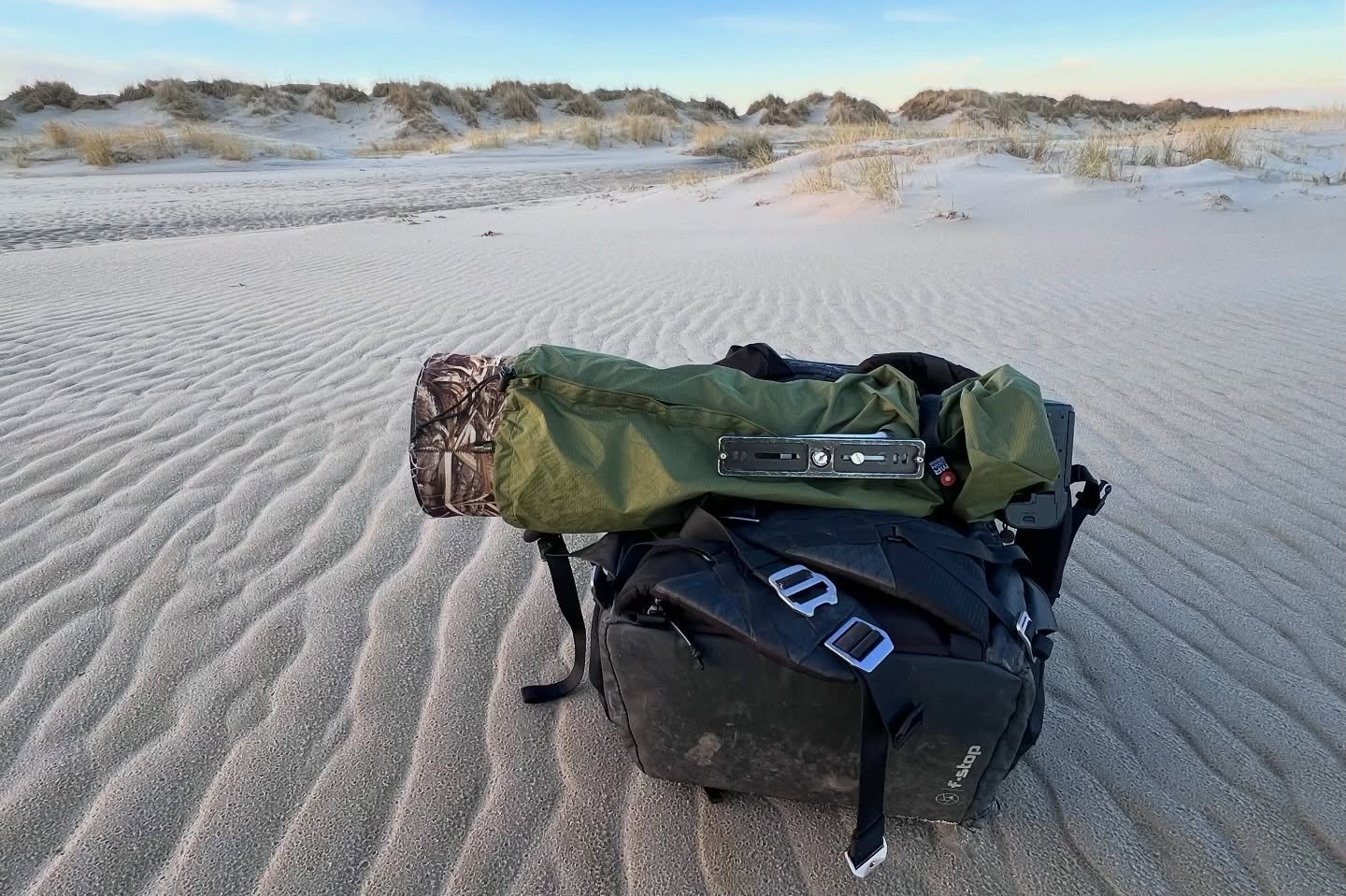 Am Meer gibt es immer etwas zu entdecken, egal zu welcher Jahreszeit. 😊 

#meer #ostsee #nordsee #fotografie #wildlifephotography