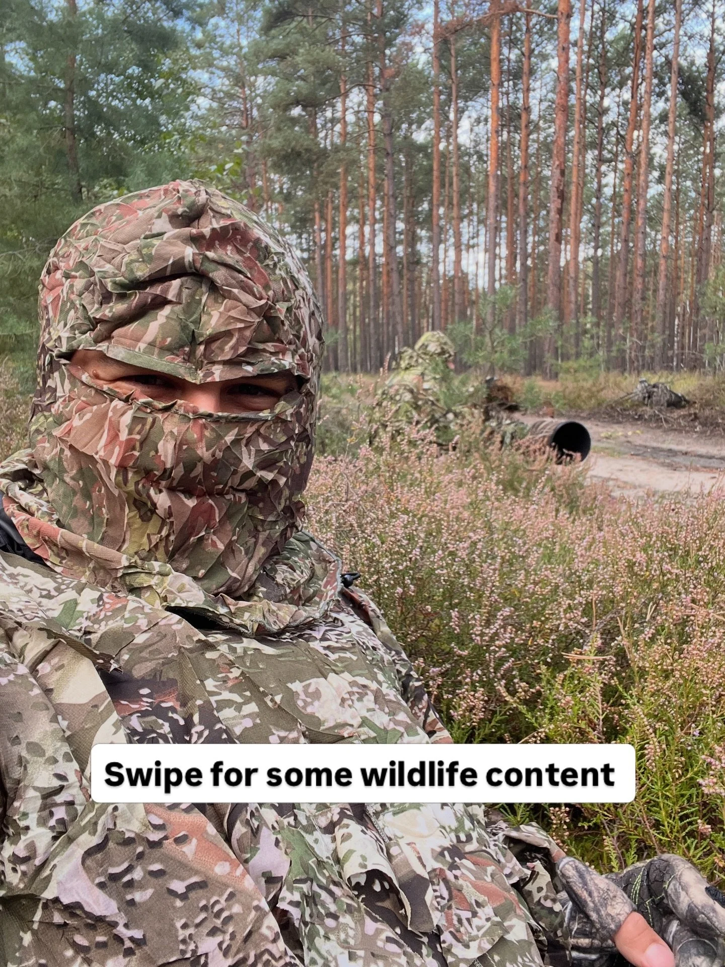 Wildlife at it&rsquo;s best!
Damhirsche aus dem Hebst :)

#wildifephotography #fotografie #deer