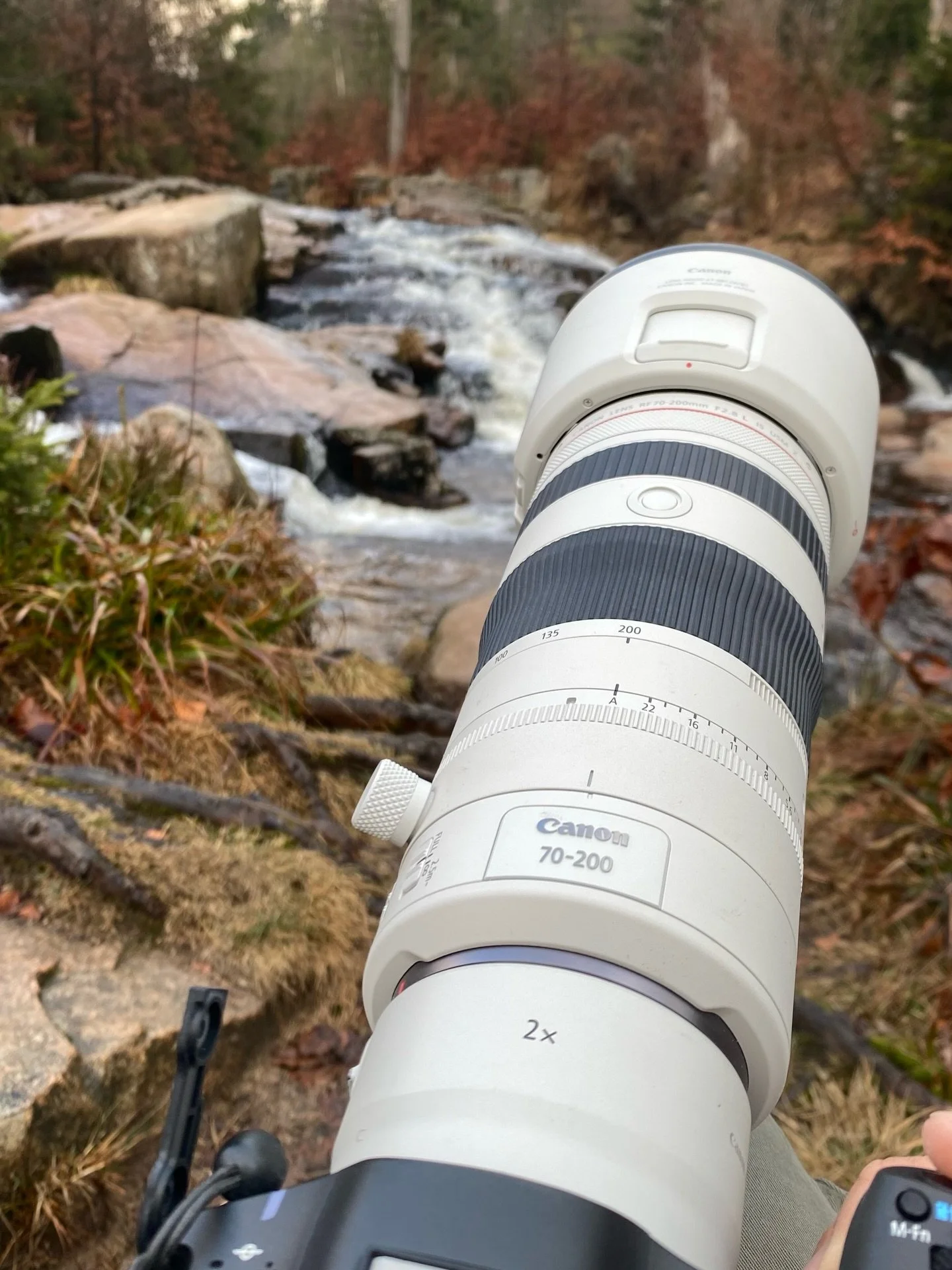 Die Wasseramsel ist einer der sch&ouml;nsten V&ouml;gel in unseren Breiten. Besonders bemerkenswert: Die Wasseramsel kann tauchen und unter Wasser laufen, um Nahrung wie Insektenlarven, kleine Krebse oder Schnecken zu suchen. Sie ist der einzige Sing