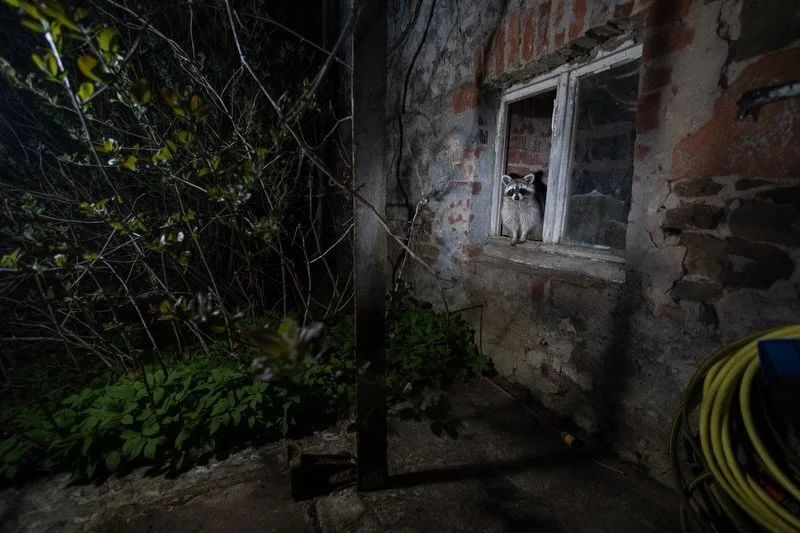 Die letzten Tage waren f&uuml;r mich sehr turbulent und ich konnte gesundheitlich das Haus nicht mehr verlassen. Umso sch&ouml;ner ist es, dass es langsam wieder bergauf geht. Und meine Kamera hat dank des Bewegungsmelders auch ohne mich f&uuml;r Bil