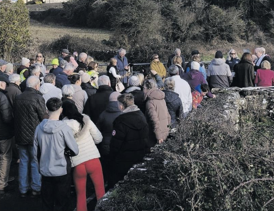  The crowd who turned out to mark the unveiling of St Brigid's Well. 