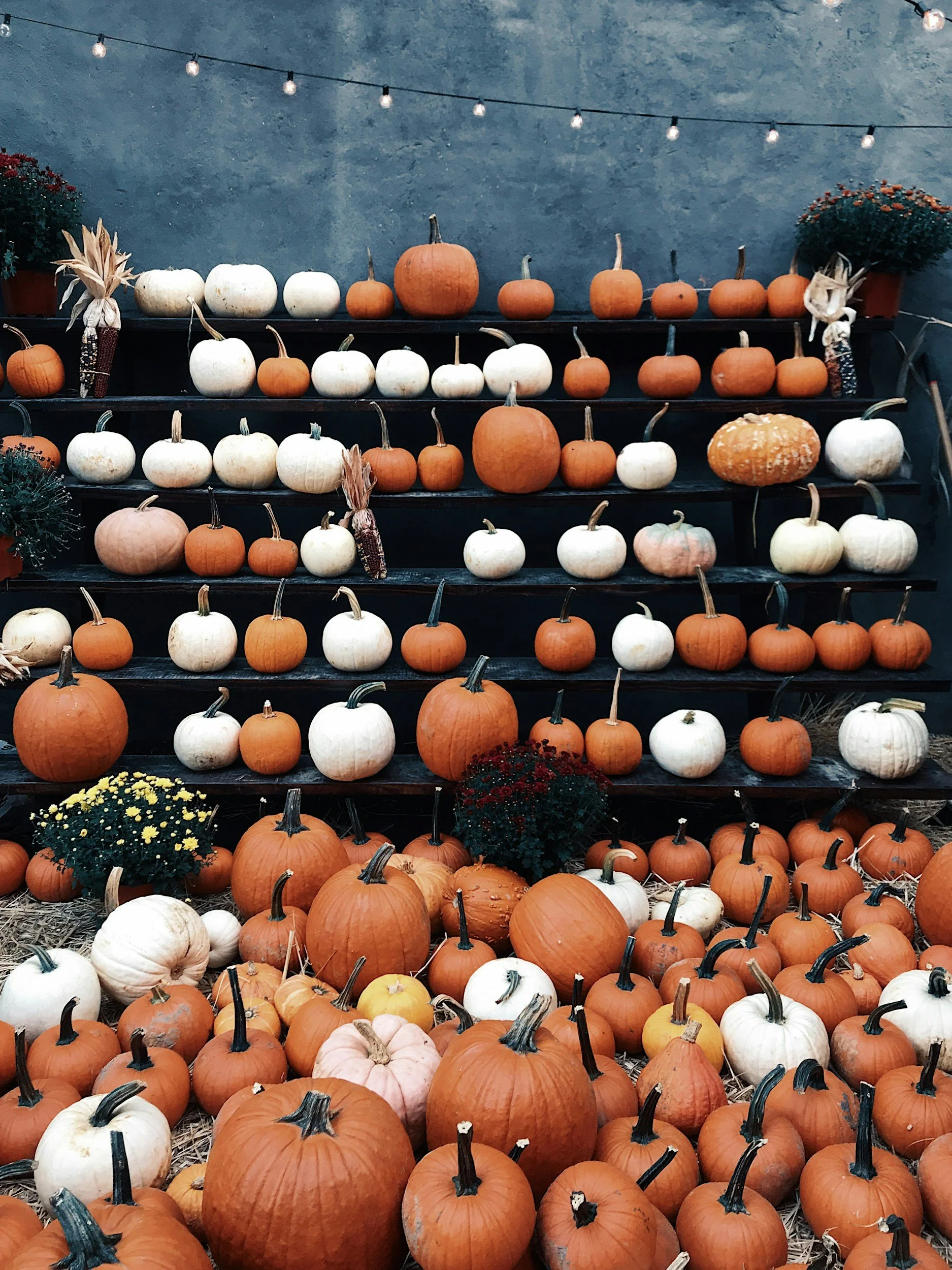 TRICK-OR-TREAT IN DOWNTOWN CLOVERDALE