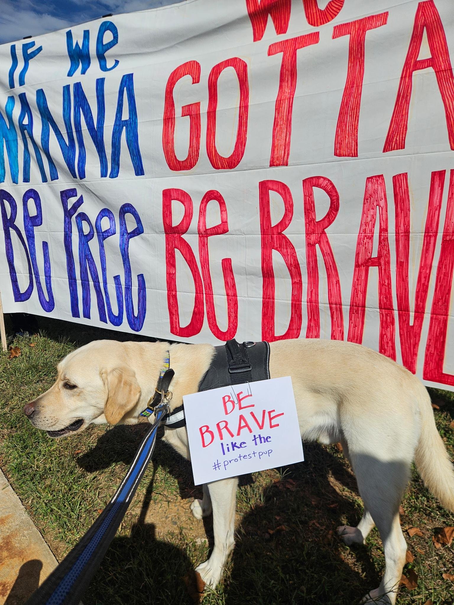 Demand Courageous Leadership from Local Government: Show Up for Upcoming Meetings