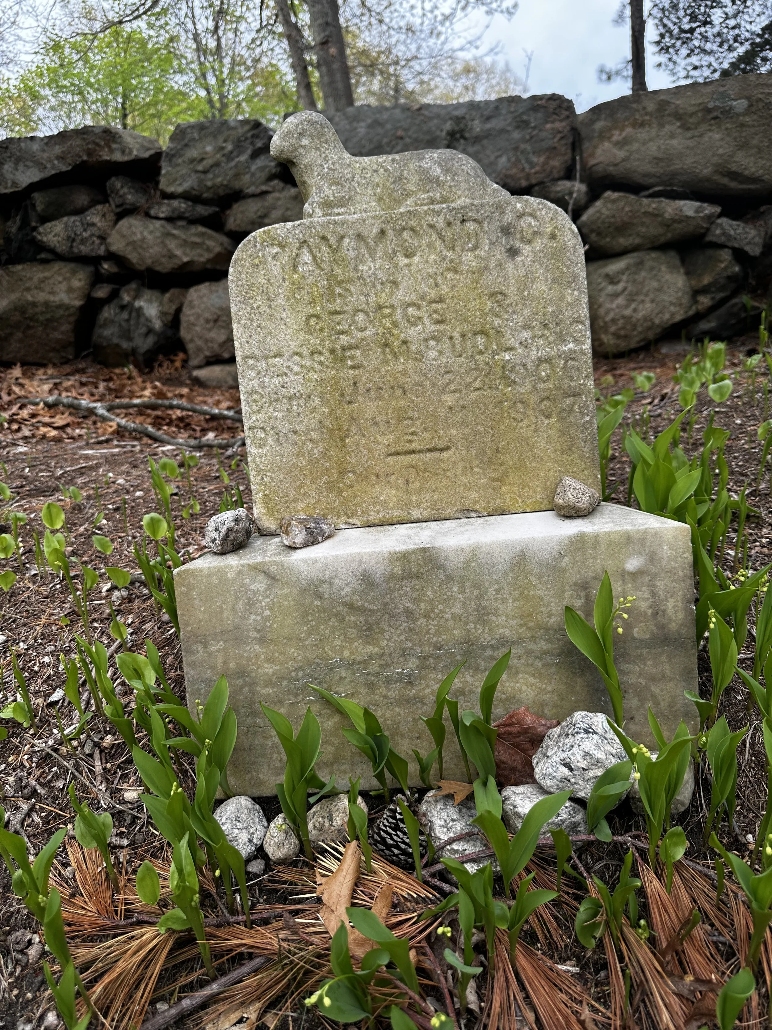 11 Cemeteries Worth Spending Entireity In - or at least stopping in for a visit