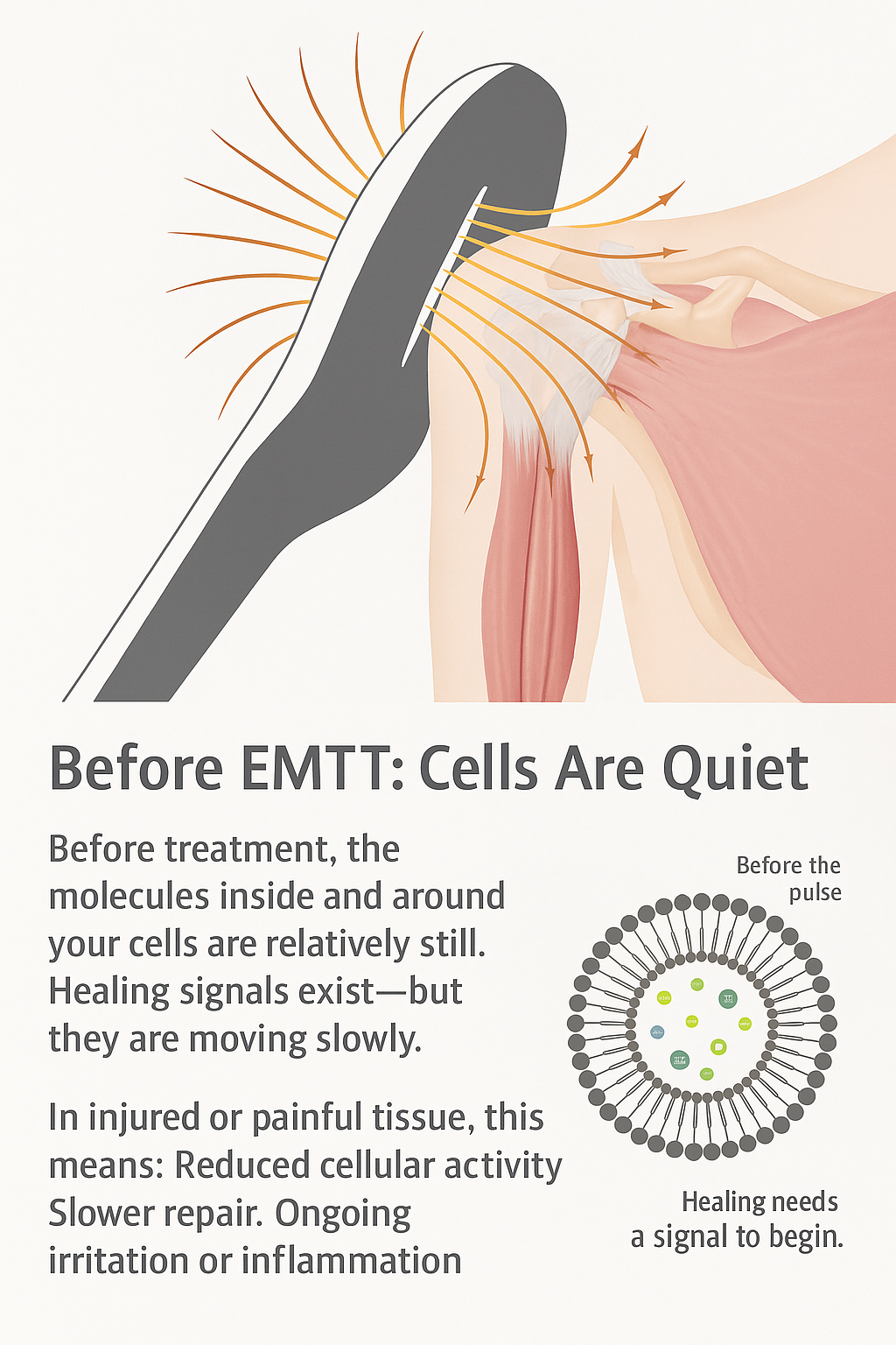 EMTT therapy showing low cellular activity and reduced healing signals in injured tissue