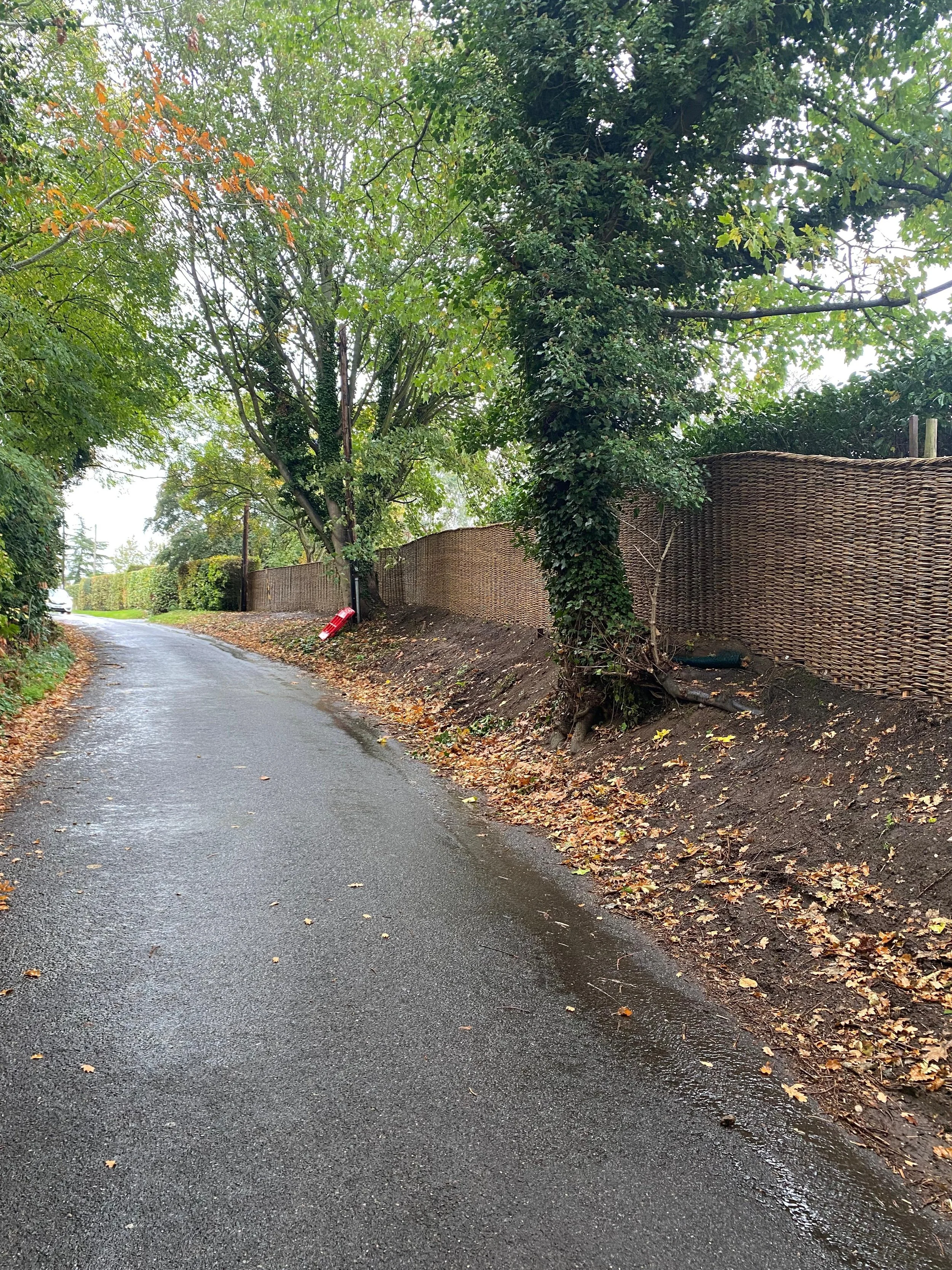Whole Fence - View From Road Up to House.jpeg