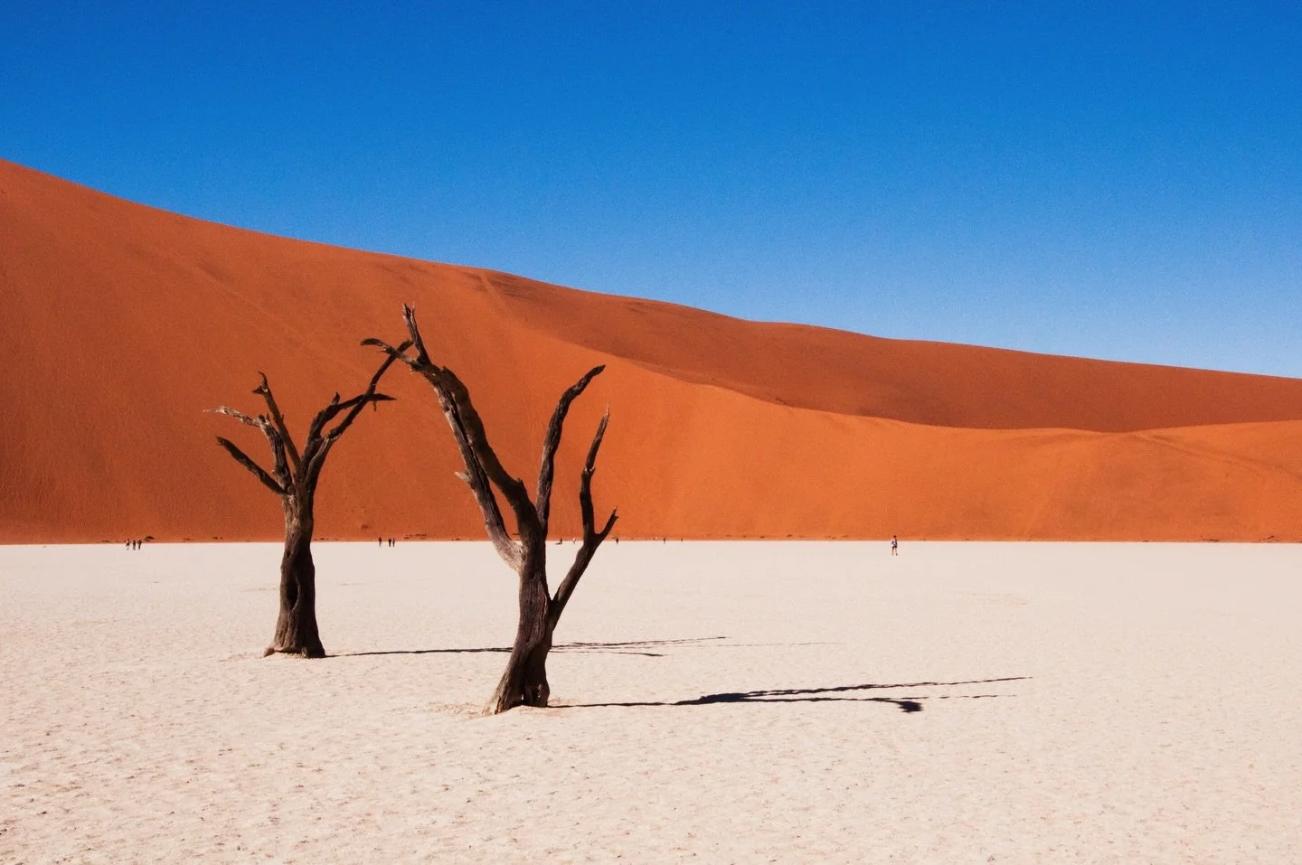 Once a clay pan fed by the Tsauchab River, Deadvlei dried up about 600 to 900 years ago when shifting dunes cut off the water supply.

The camel thorn trees died where they stood and never decomposed, preserved for centuries by the extreme dryness of