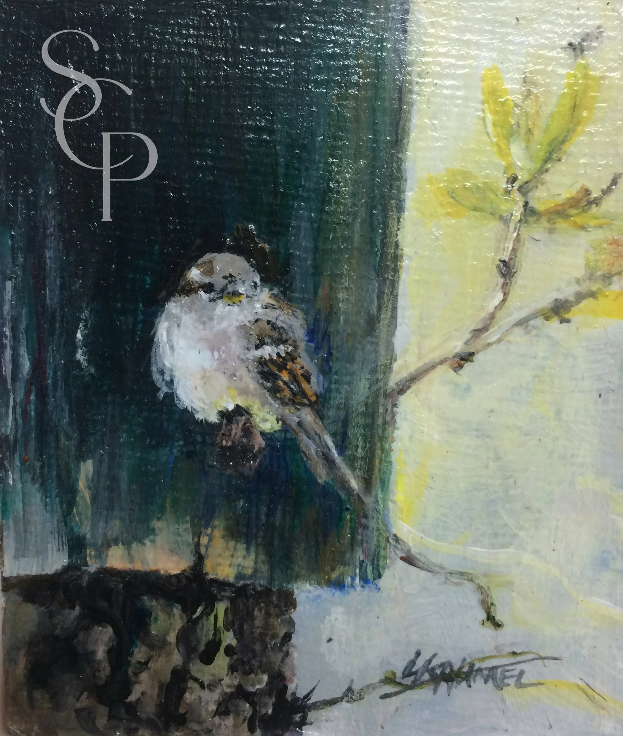 Just Resting owned by Tim Haynes copy.jpg