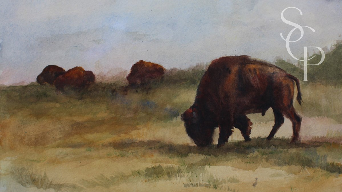 Praire Grazing owned J Searle copy_.jpg