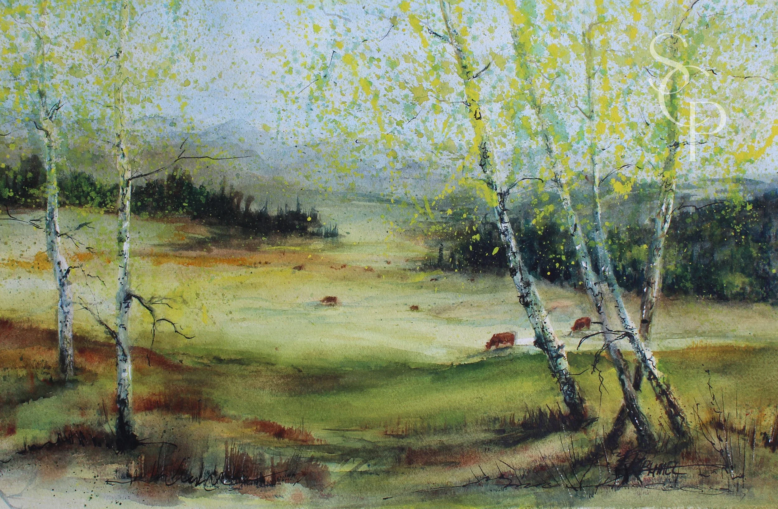 Open Rangeland owned  by rebecca Krumel Sanchez_.jpg
