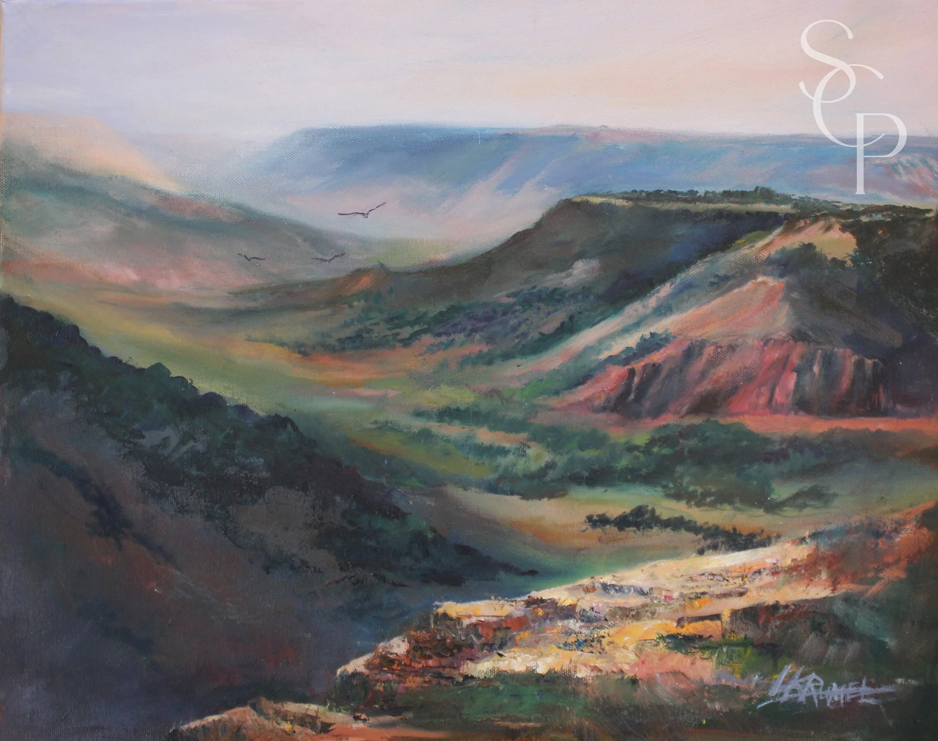 Palo Duro Canyon Vista_.jpg