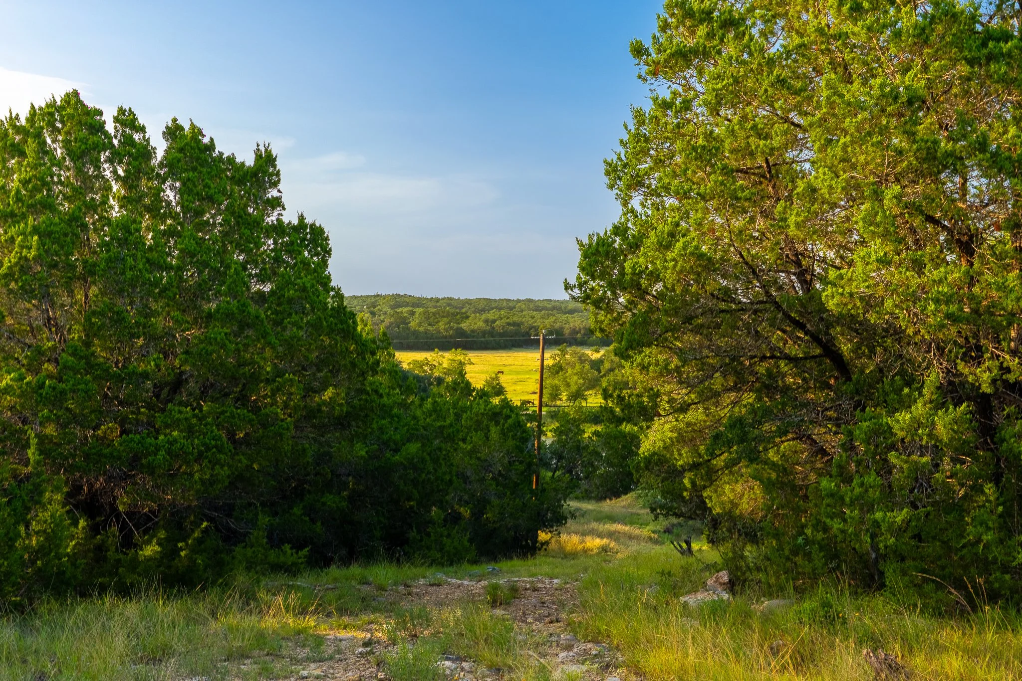 DSC09309-HDR.jpg