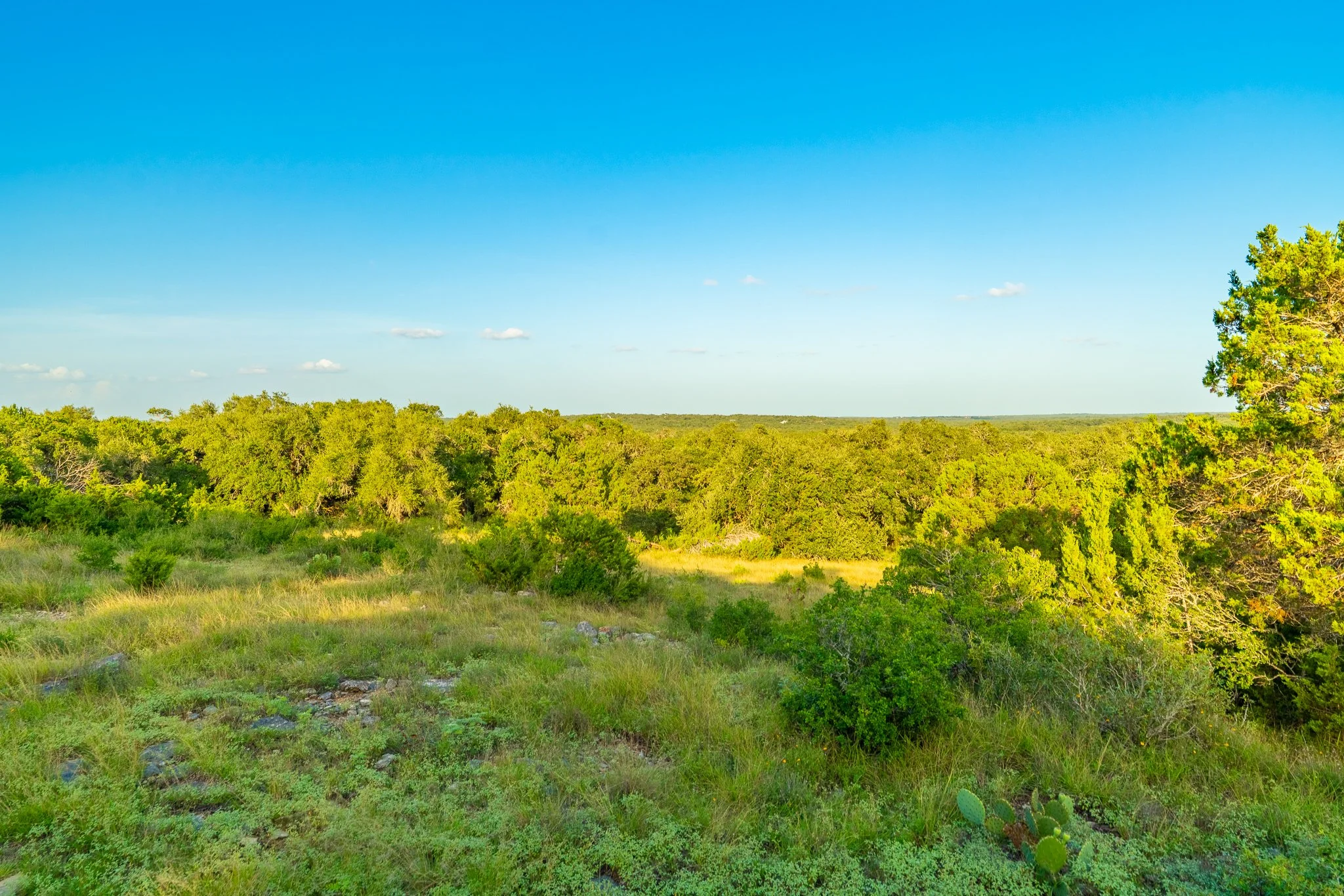 DSC09254-HDR.jpg