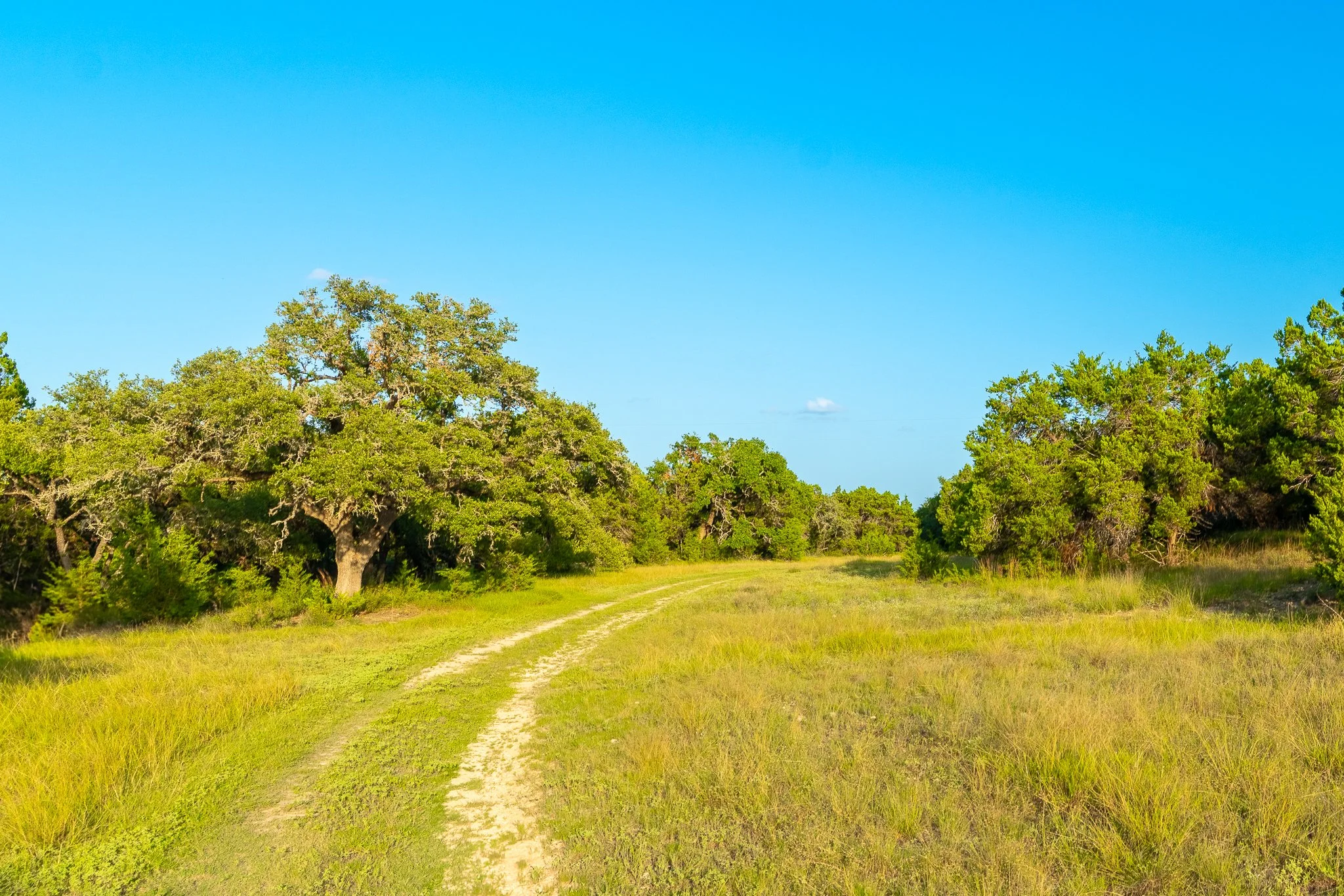 DSC09279-HDR.jpg
