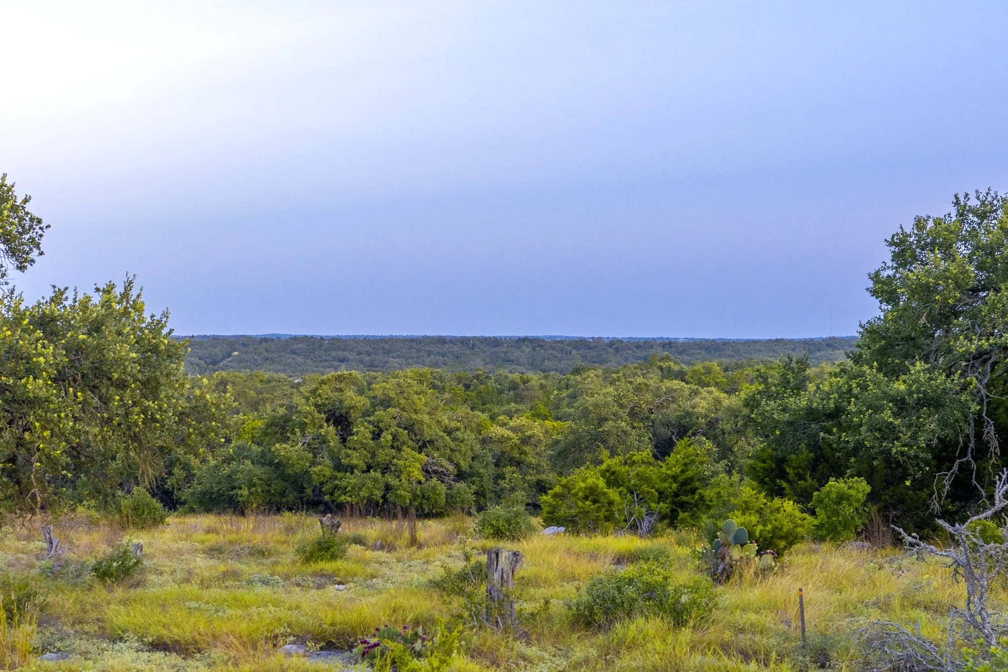 DSC09354-HDR.jpg