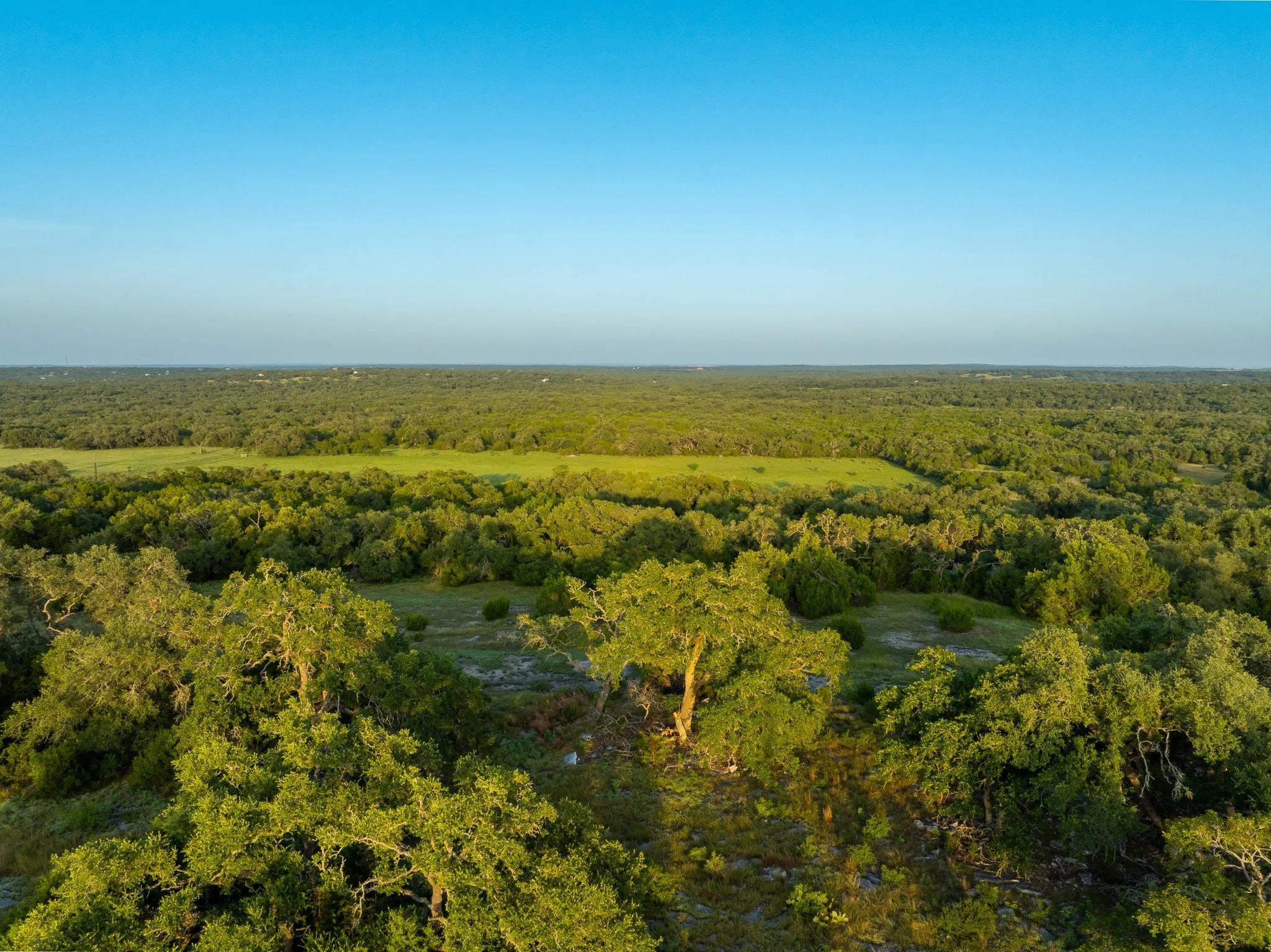 DJI_0421-HDR.jpg