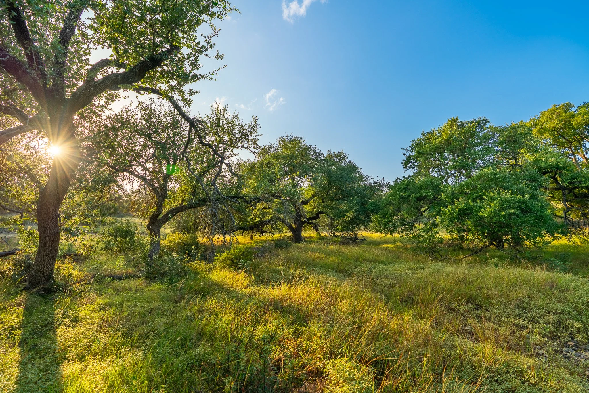 DSC09234-HDR.jpg