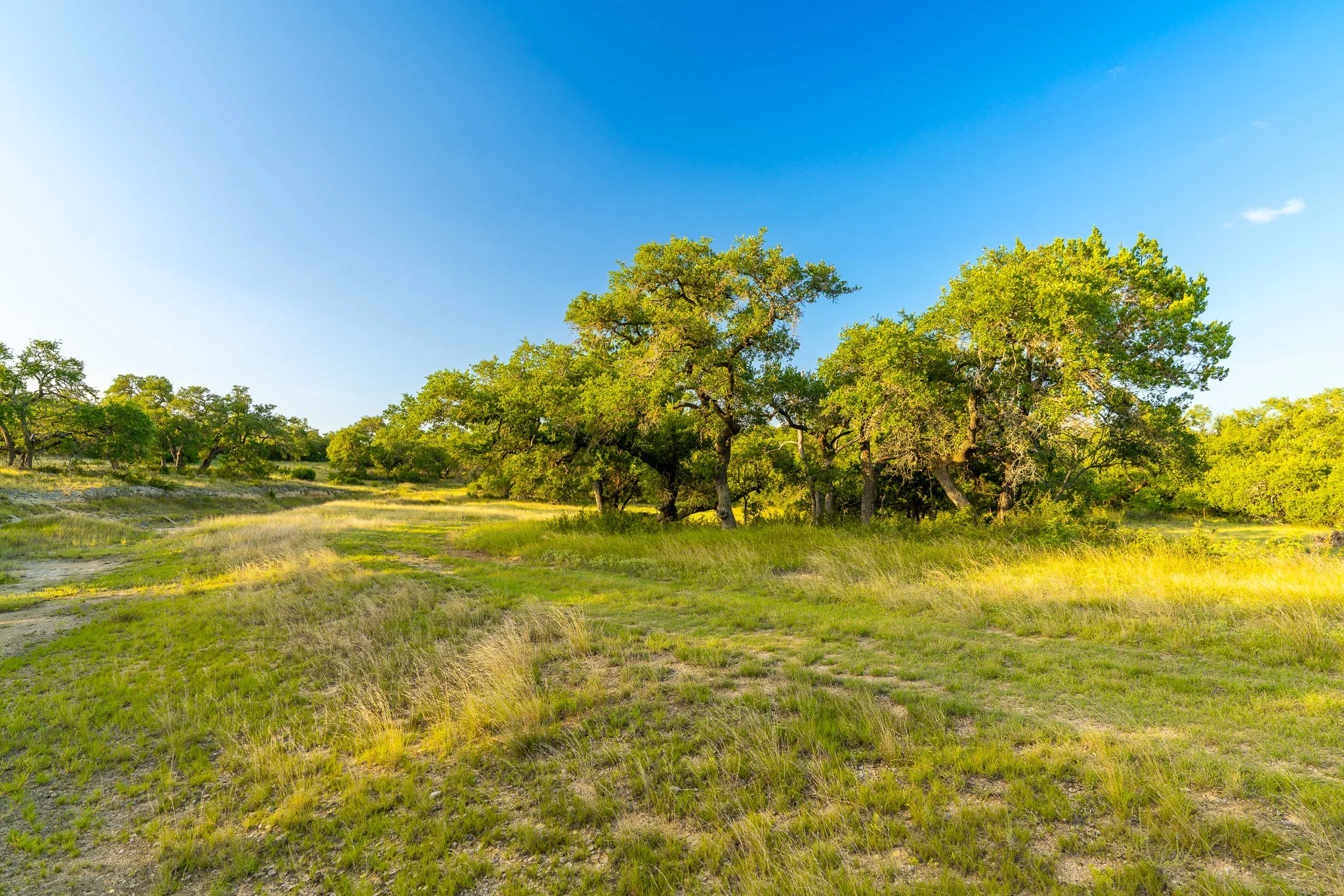 DSC09209-HDR.jpg