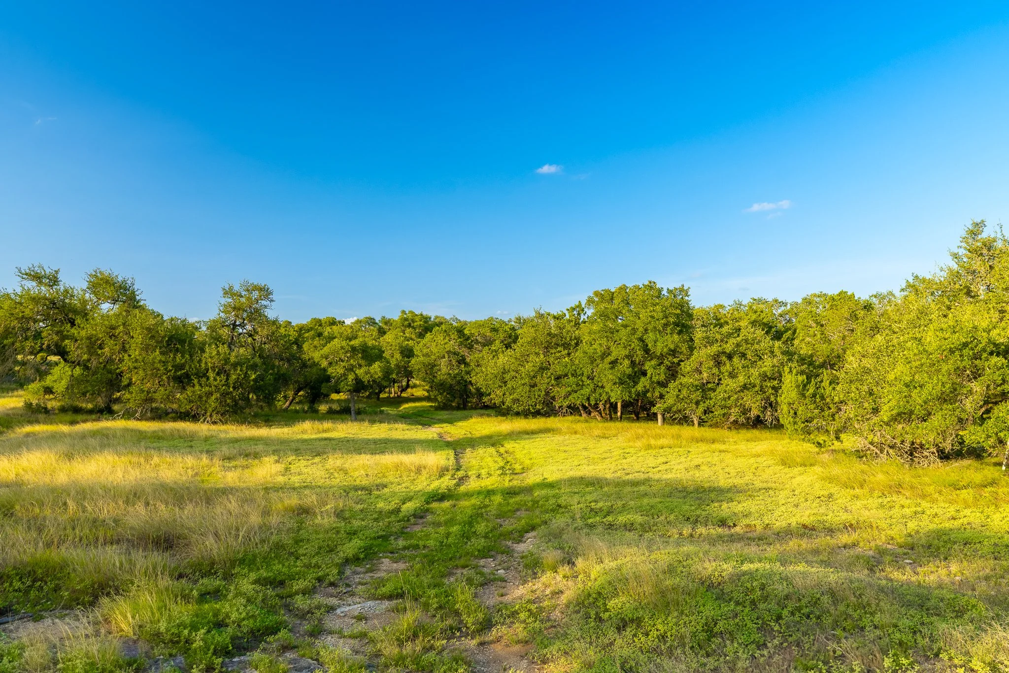 DSC09224-HDR.jpg