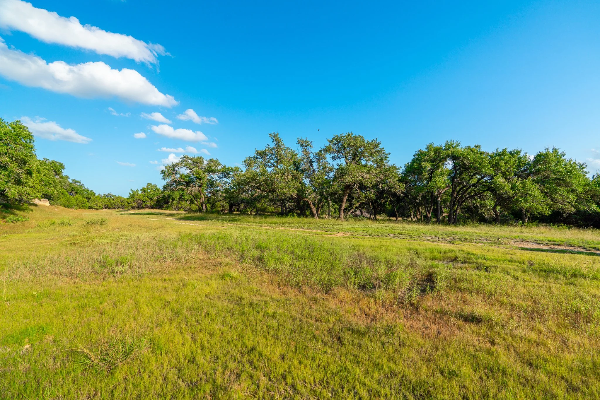 DSC09172-HDR.jpg