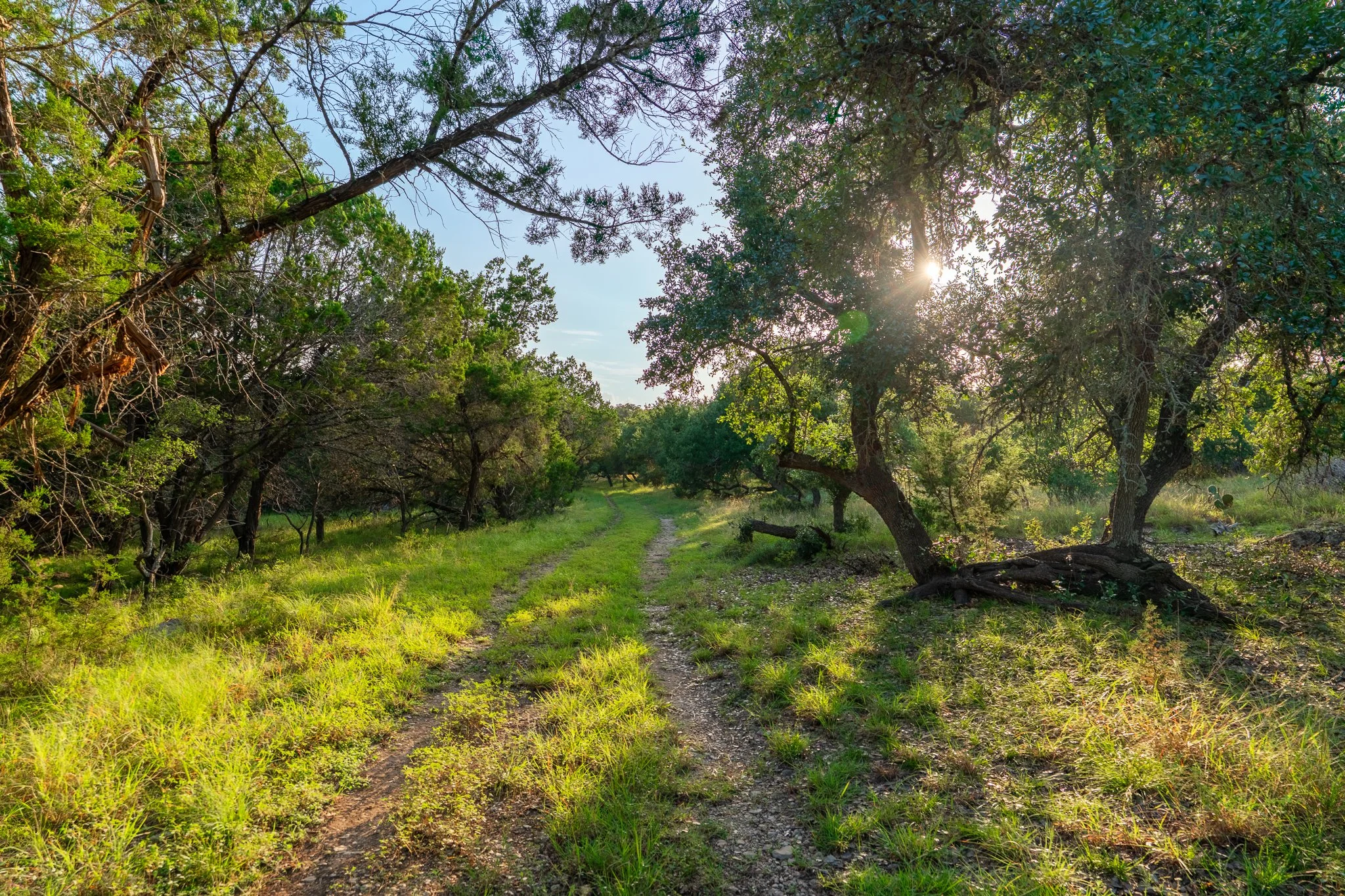 DSC09244-HDR.jpg