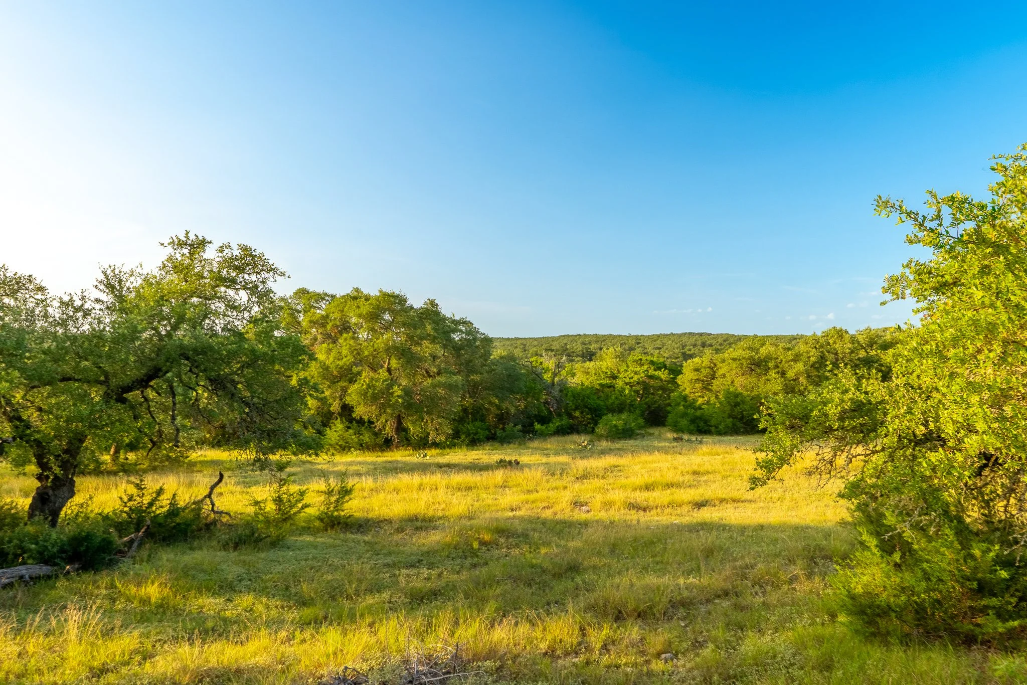 DSC09294-HDR.jpg