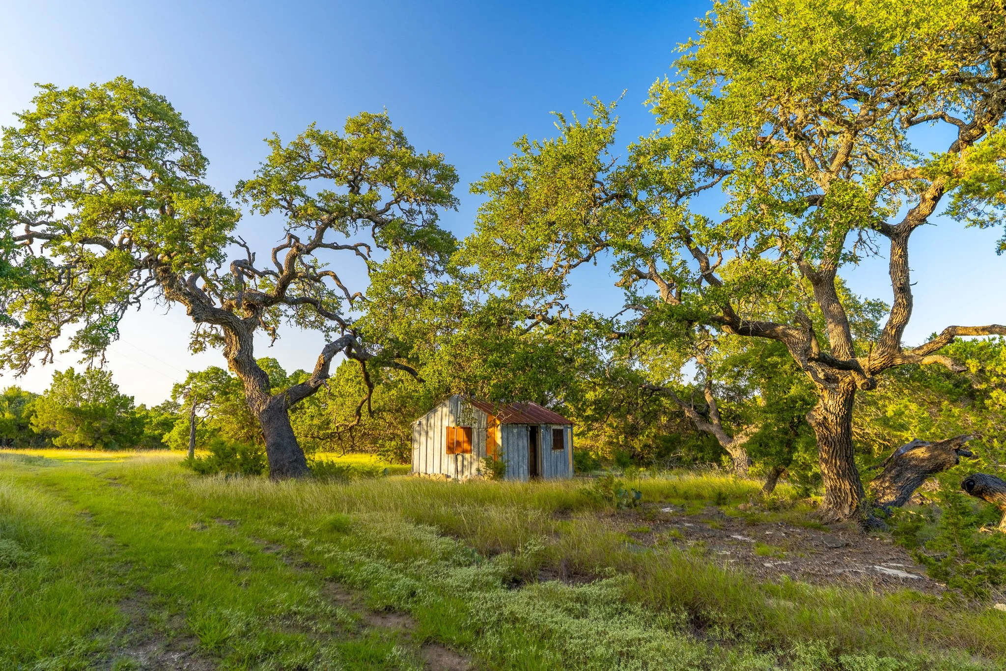 DSC09259-HDR.jpg