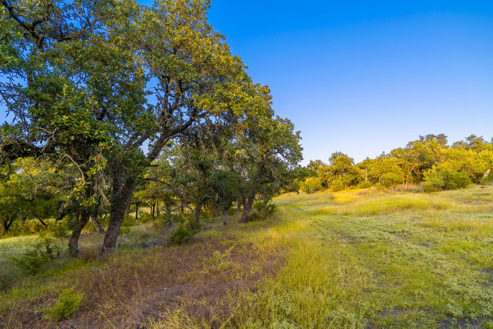 DSC09339-HDR.jpg