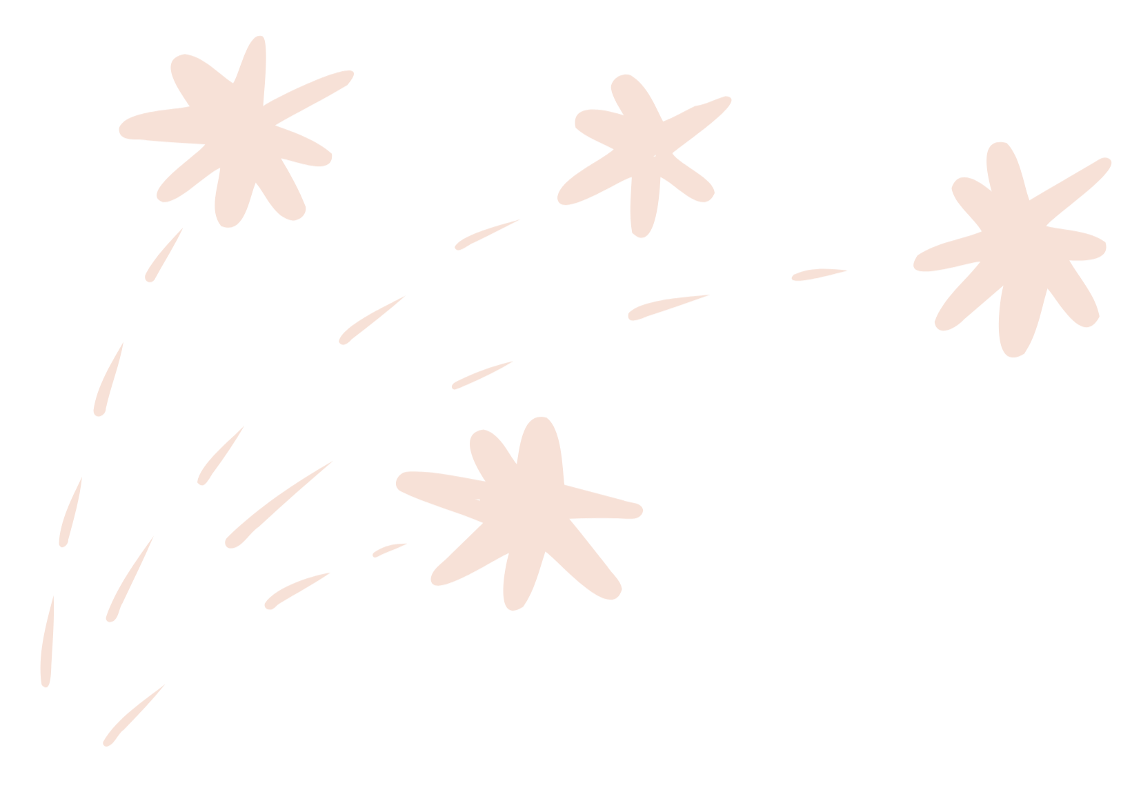 Light pink flowers with dashed stems on a black background.