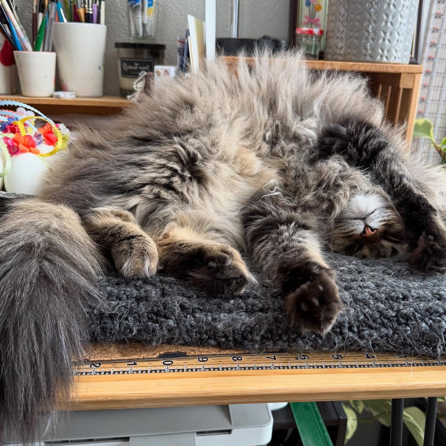 Studio/office assistants. 
I couldn&rsquo;t do it without them!
