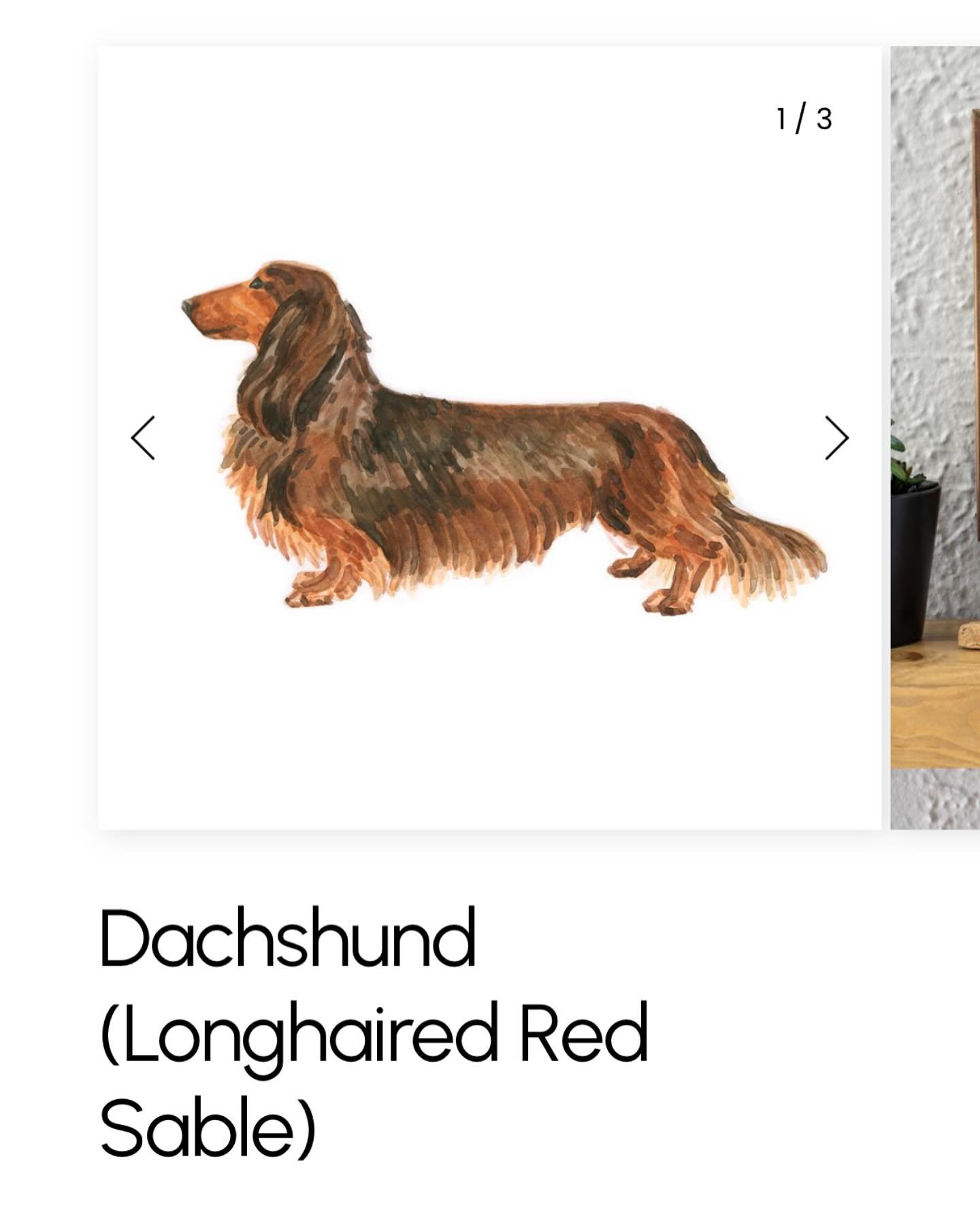 New dog day! 
Three more distinguished cuties are available.
