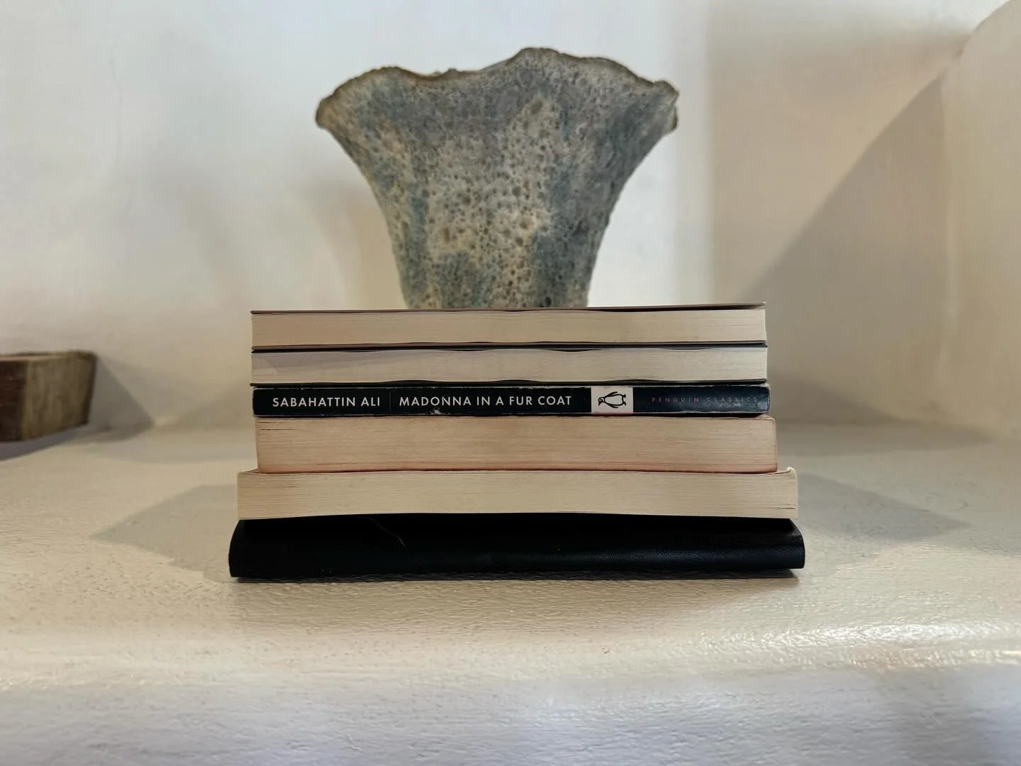 For anyone who hasn&rsquo;t had a chance to pick up Januarys book pick, I will be giving away 10 copies of Madonna in a Fur Coat. This book is pretty short, so you still have plenty of time to read it 📖❣️rules below:

1. Must follow @ironicallyliter