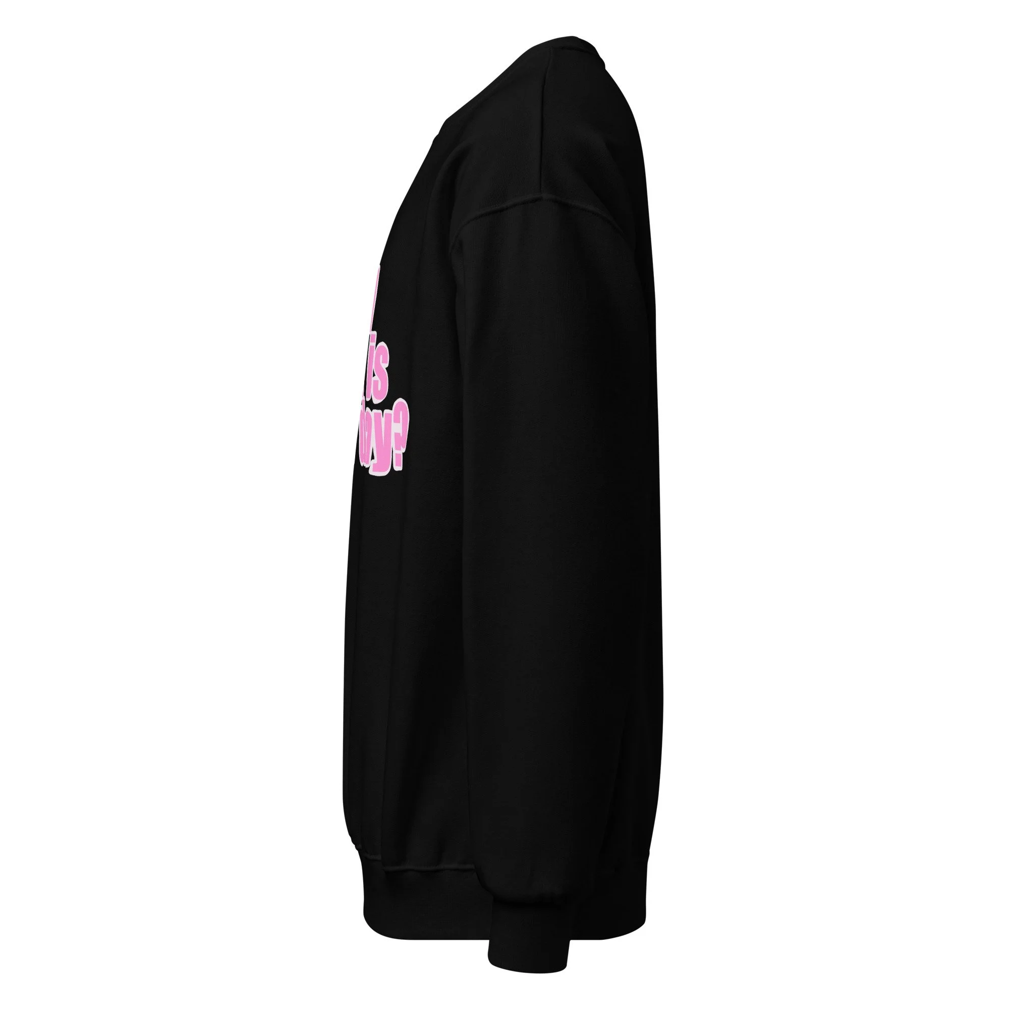 classic-unisex-crew-neck-sweatshirt-black-left-678c6e47e57ec.jpg