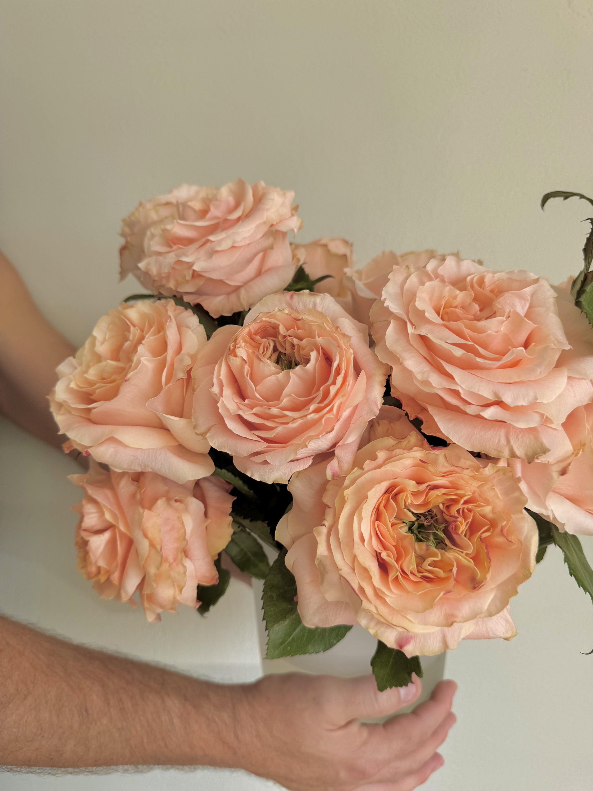 Speak to me in roses | One Dozen |