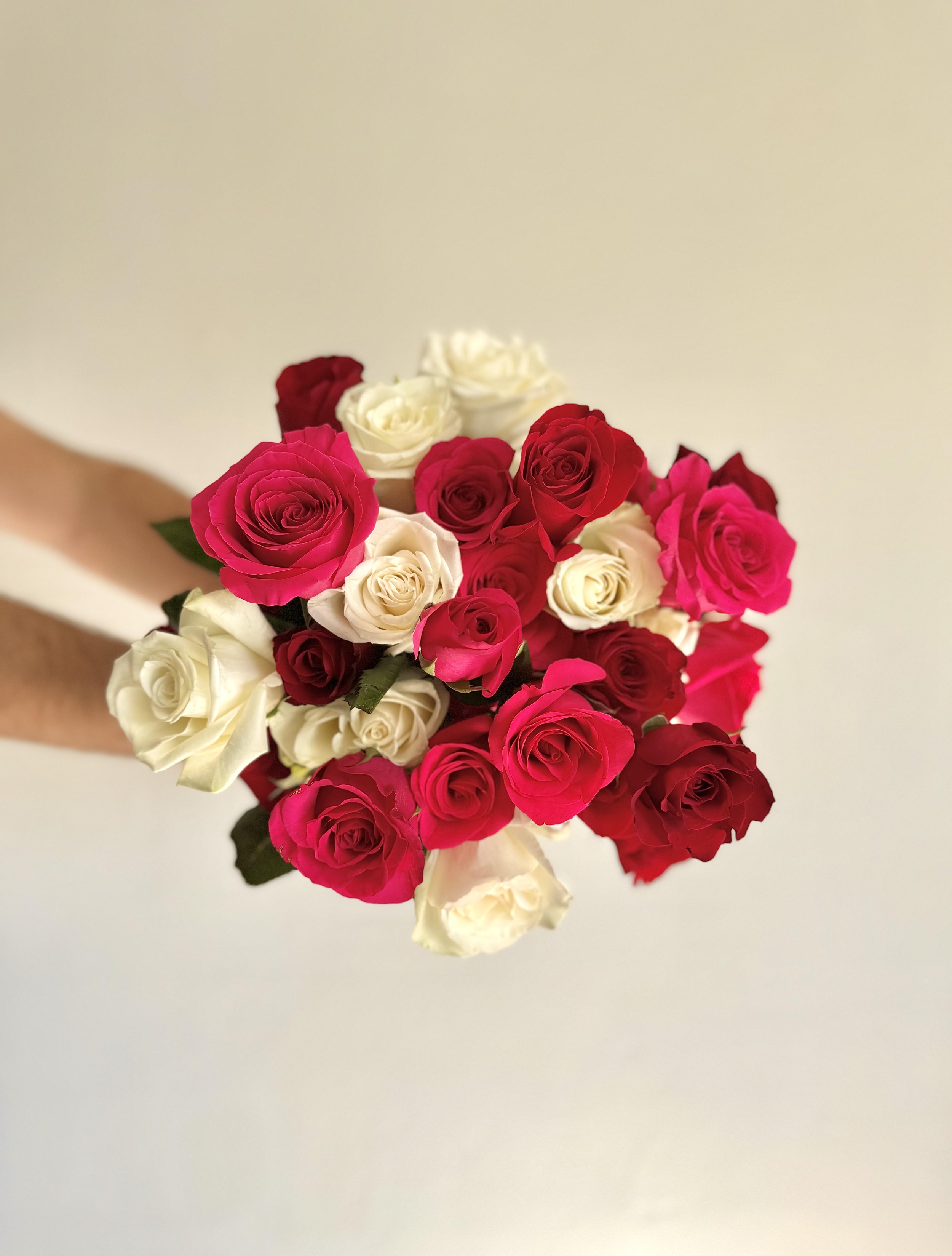 Mixed Roses Valentine's Day 3.jpg