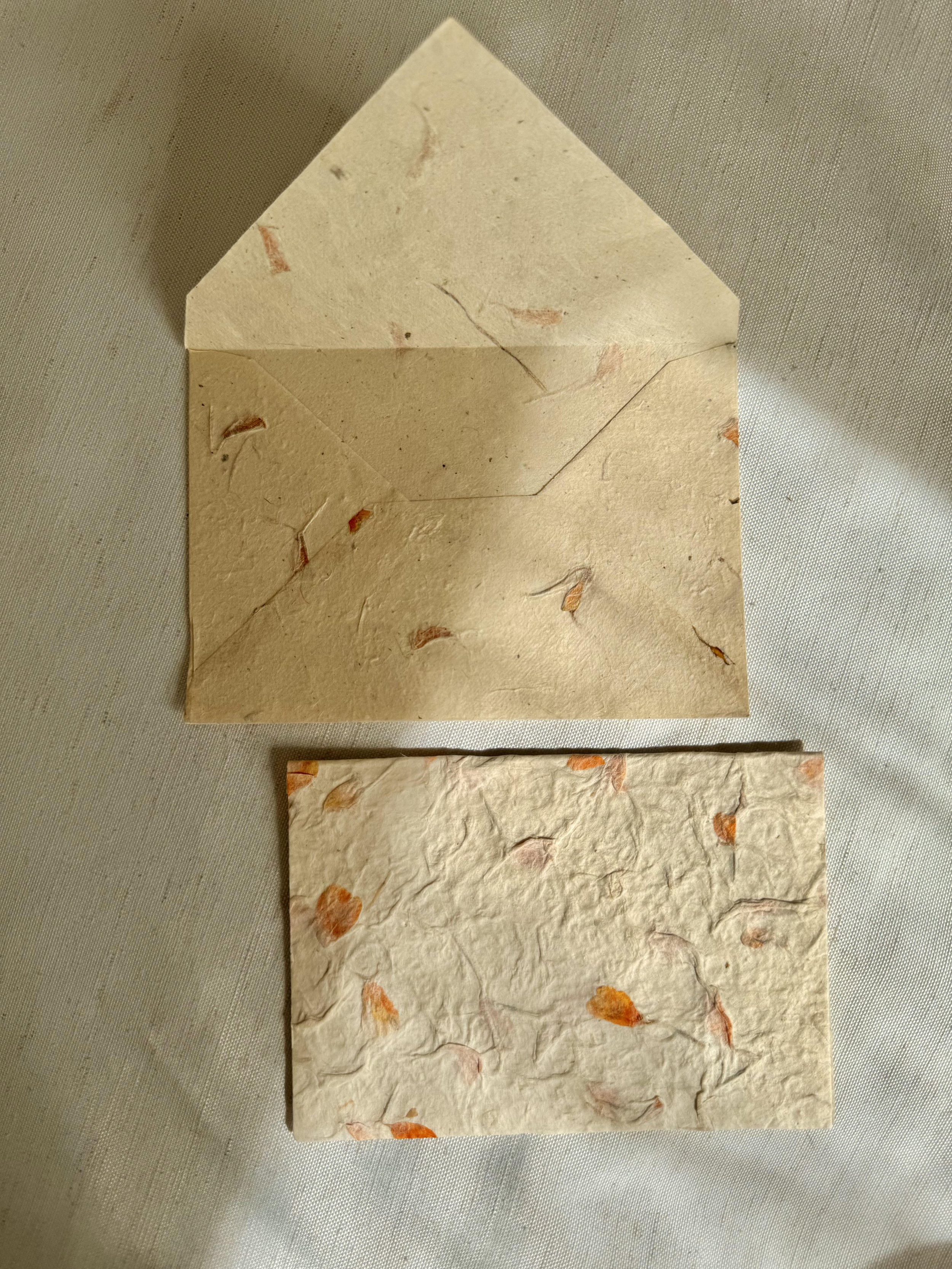 Pressed Flower Card Wildwood 2.jpg