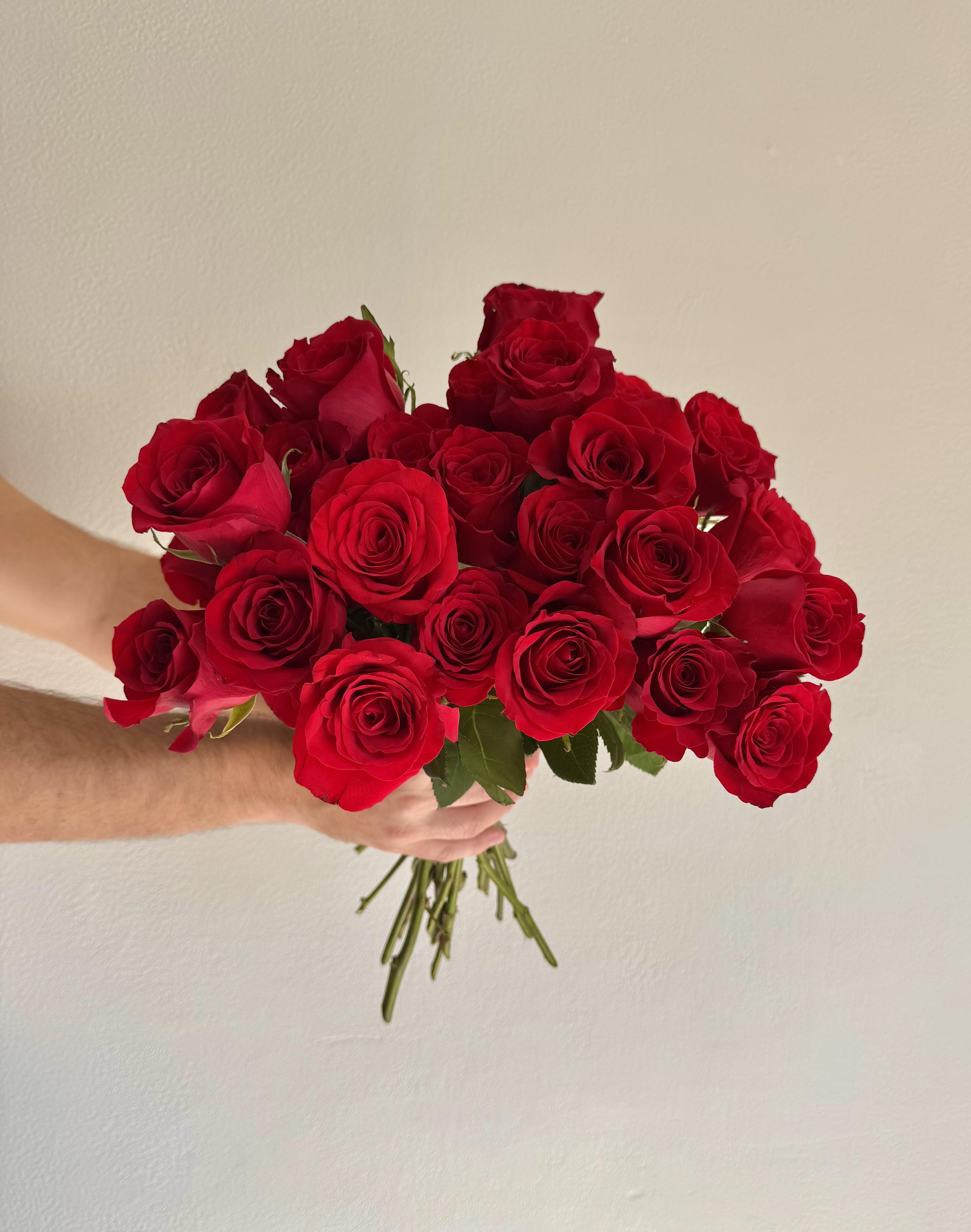 Red Roses Valentine's Day.jpg
