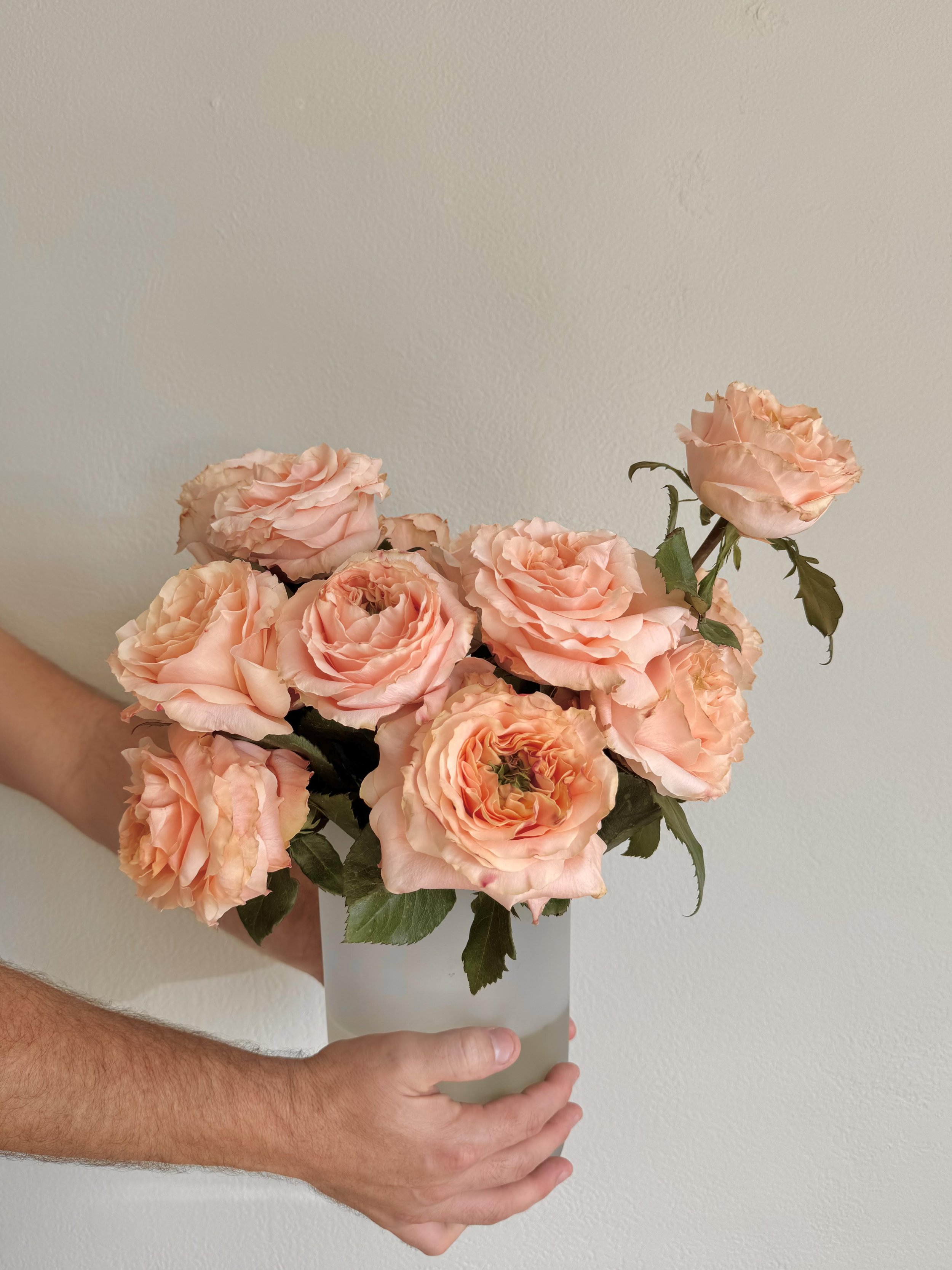Peach Roses 5.jpg