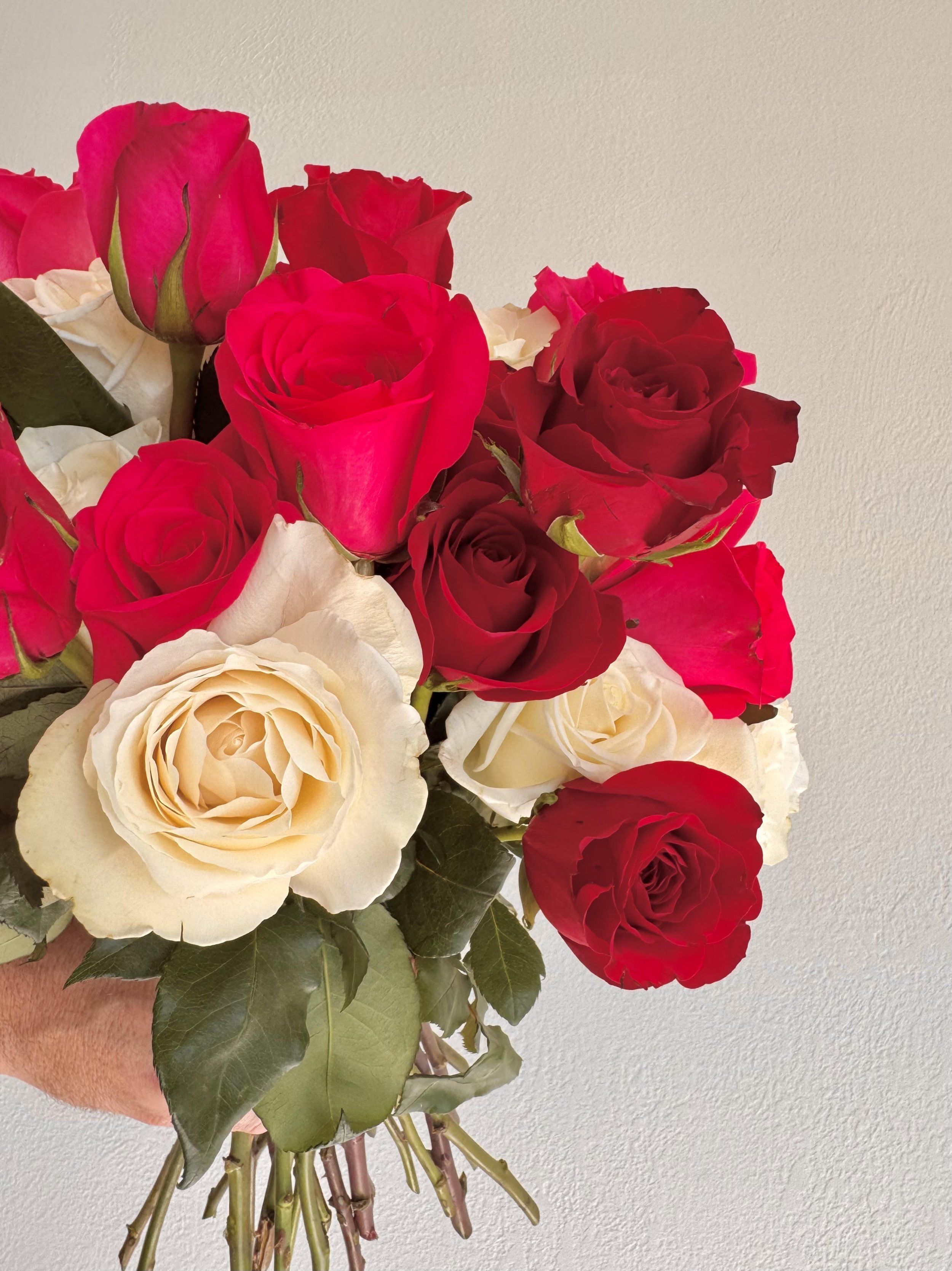 Mixed Roses Valentine's Day 2.jpg