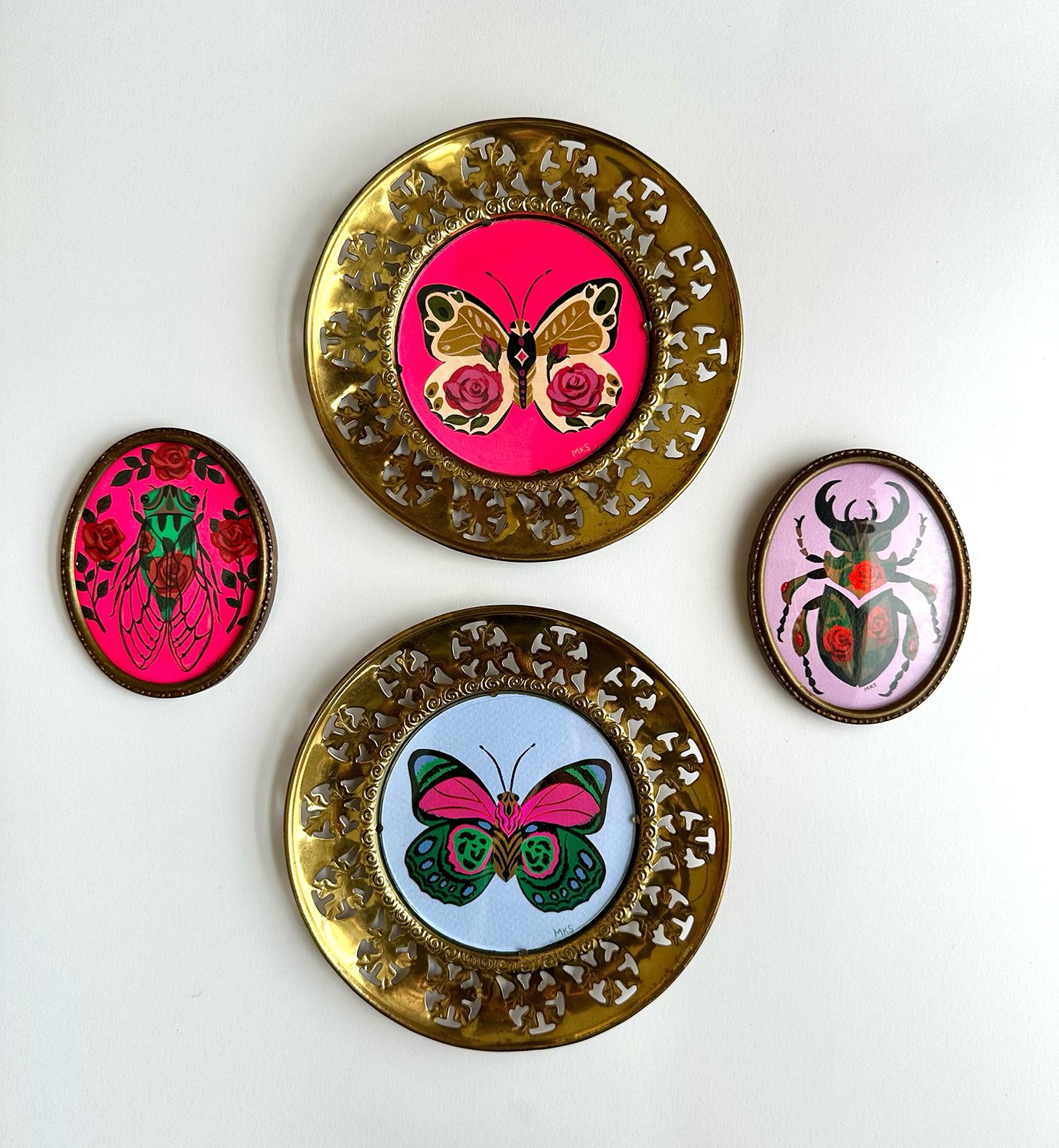 Small collection of framed insects.