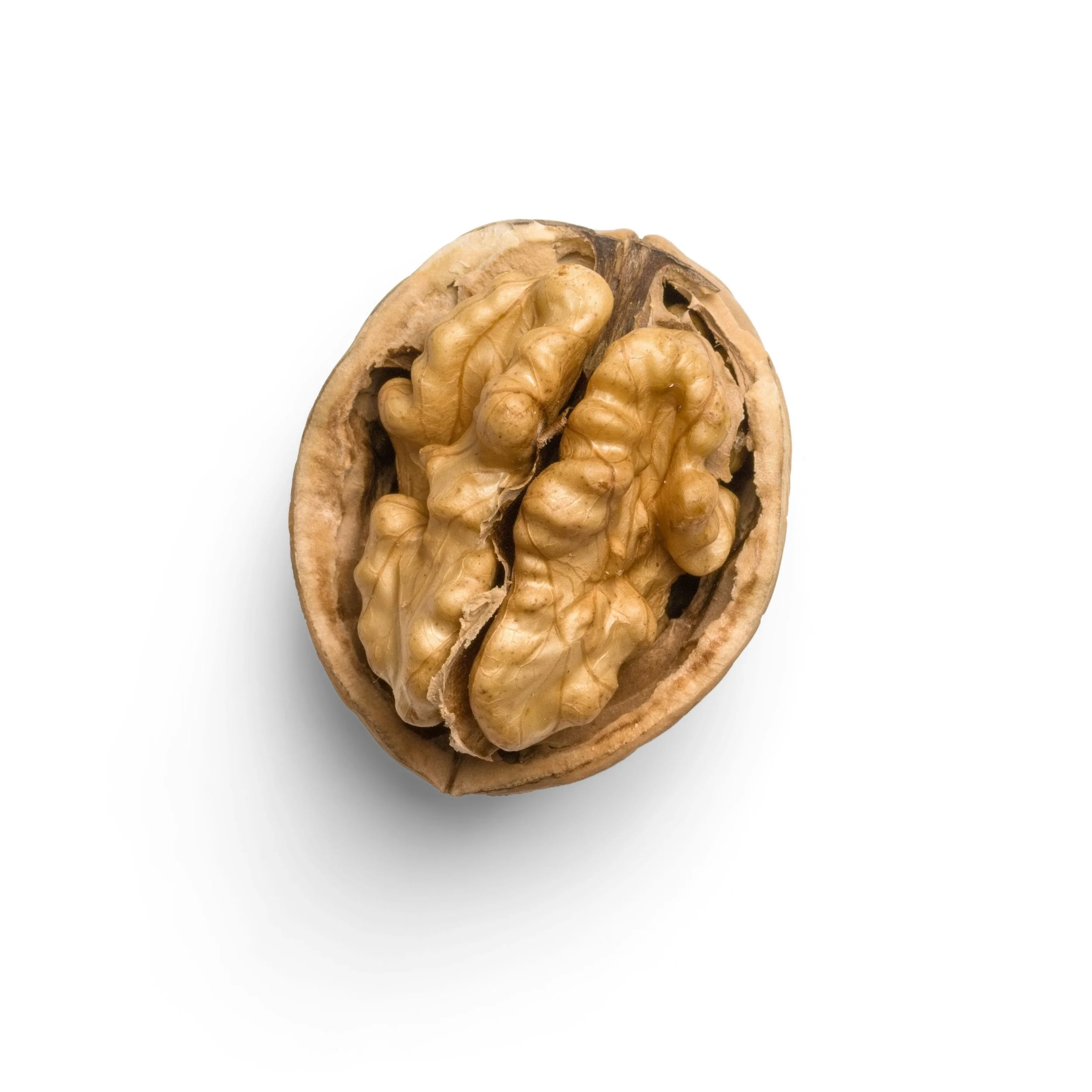 Stronger Mind, Healthier Life: The Lifestyle–Brain Connection