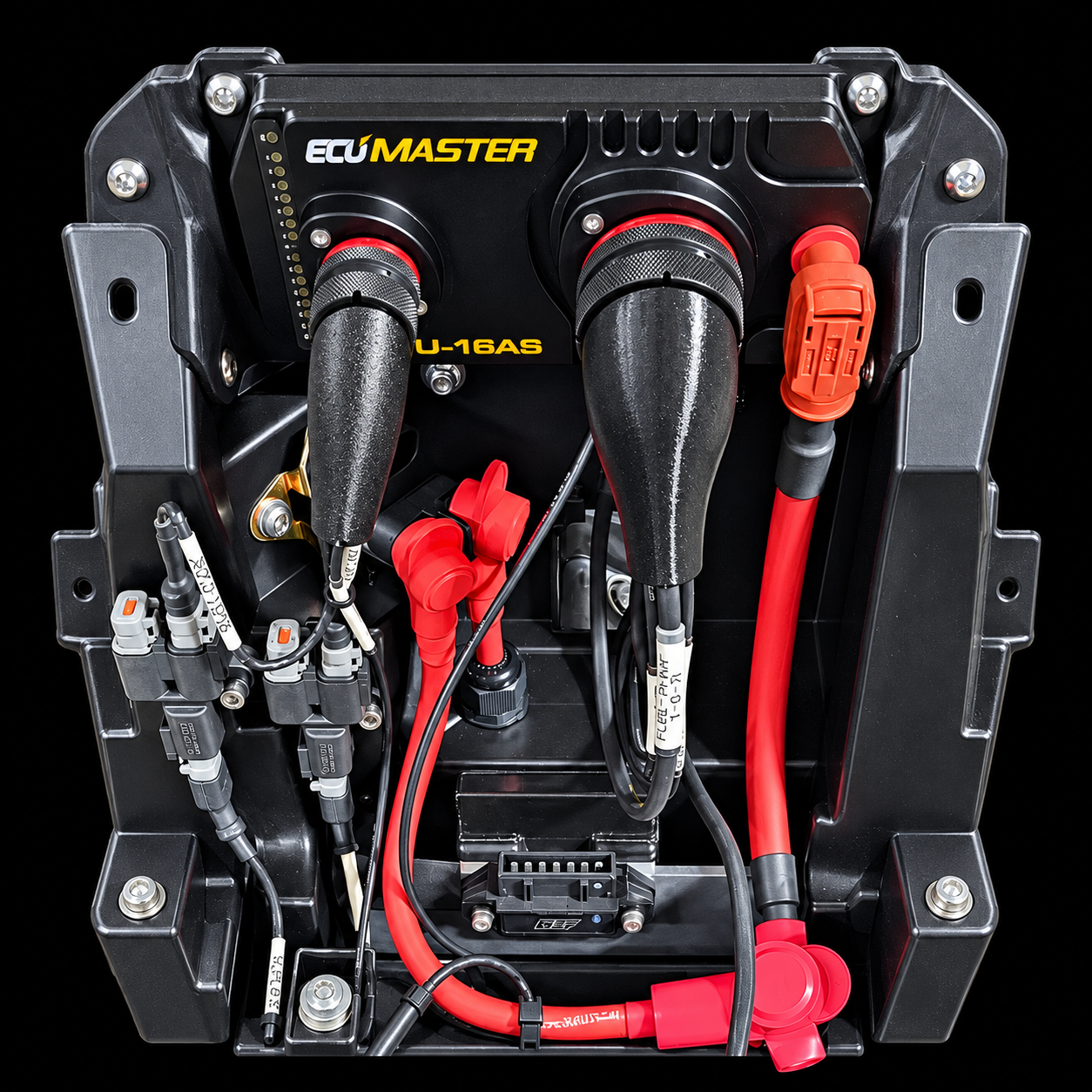 ECUMASTER PMU installation on black-2.png
