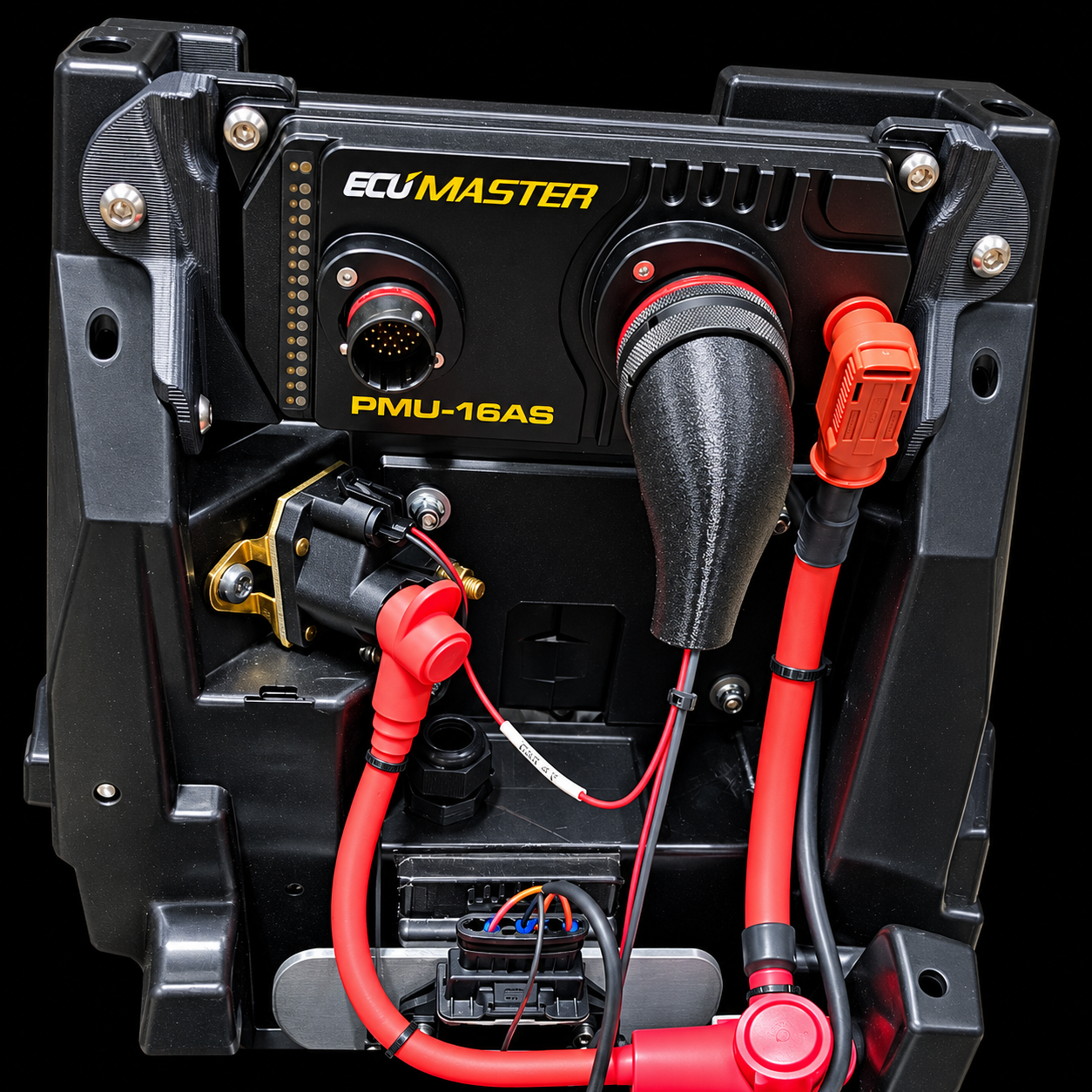 ECUMASTER PMU-16AS Wiring Close-Up-5.png