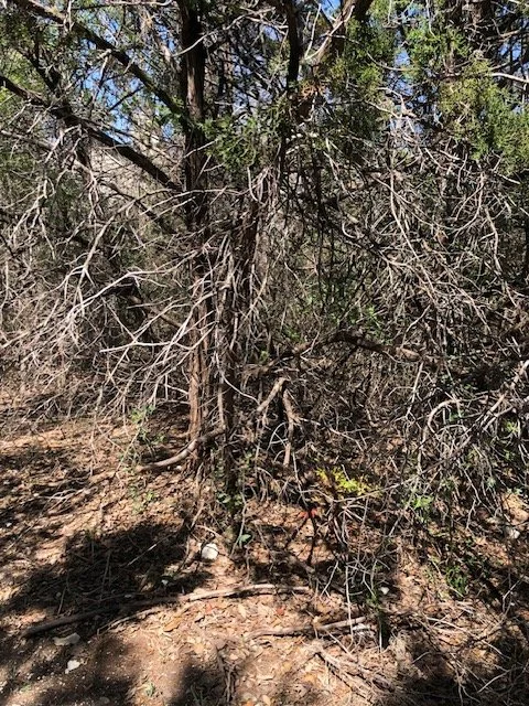 Soft Peripheral Viewing