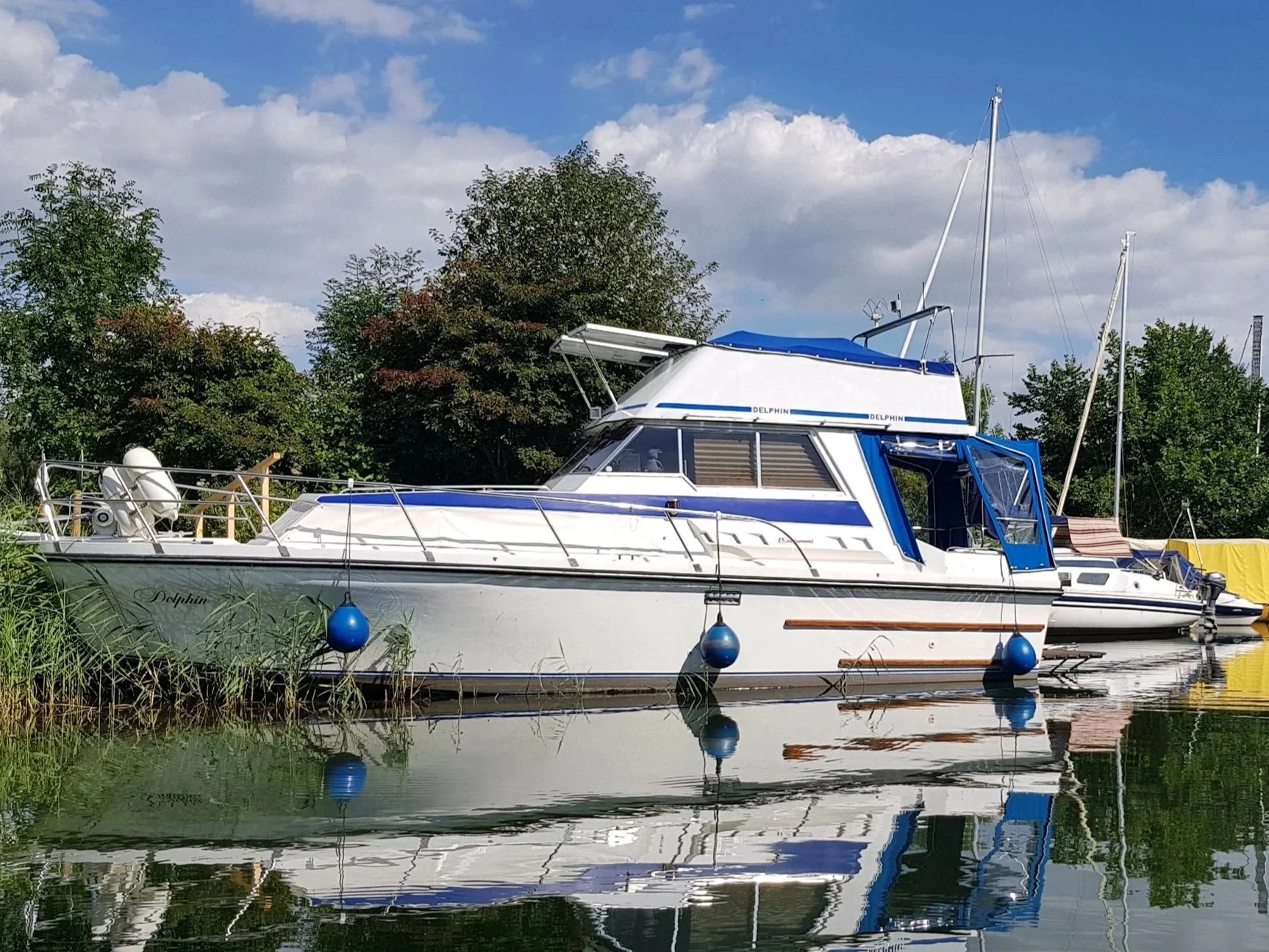 Birchwood 29 - Motoryacht, Kajütboot mit Flybridge