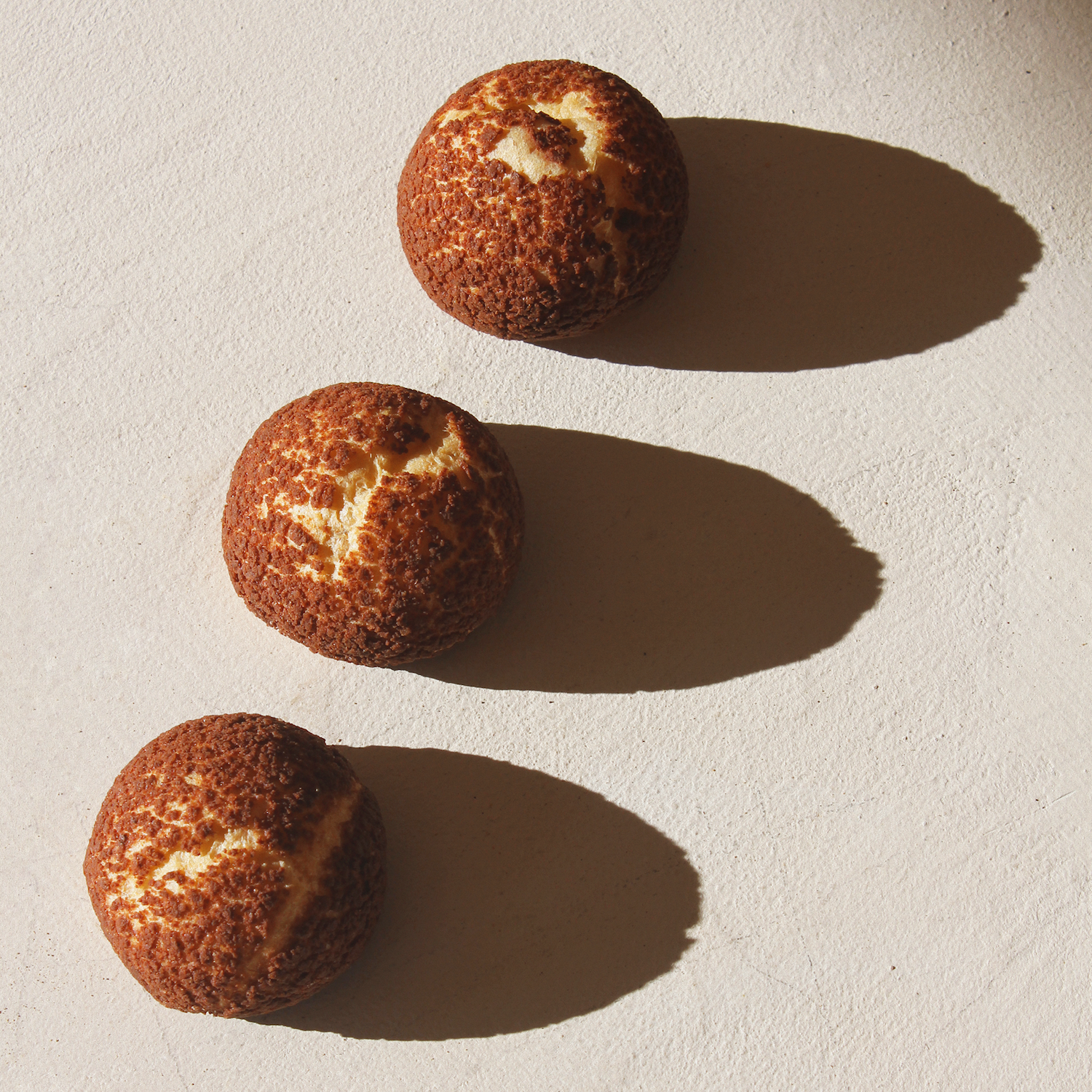 Choux_Chocolat01.png