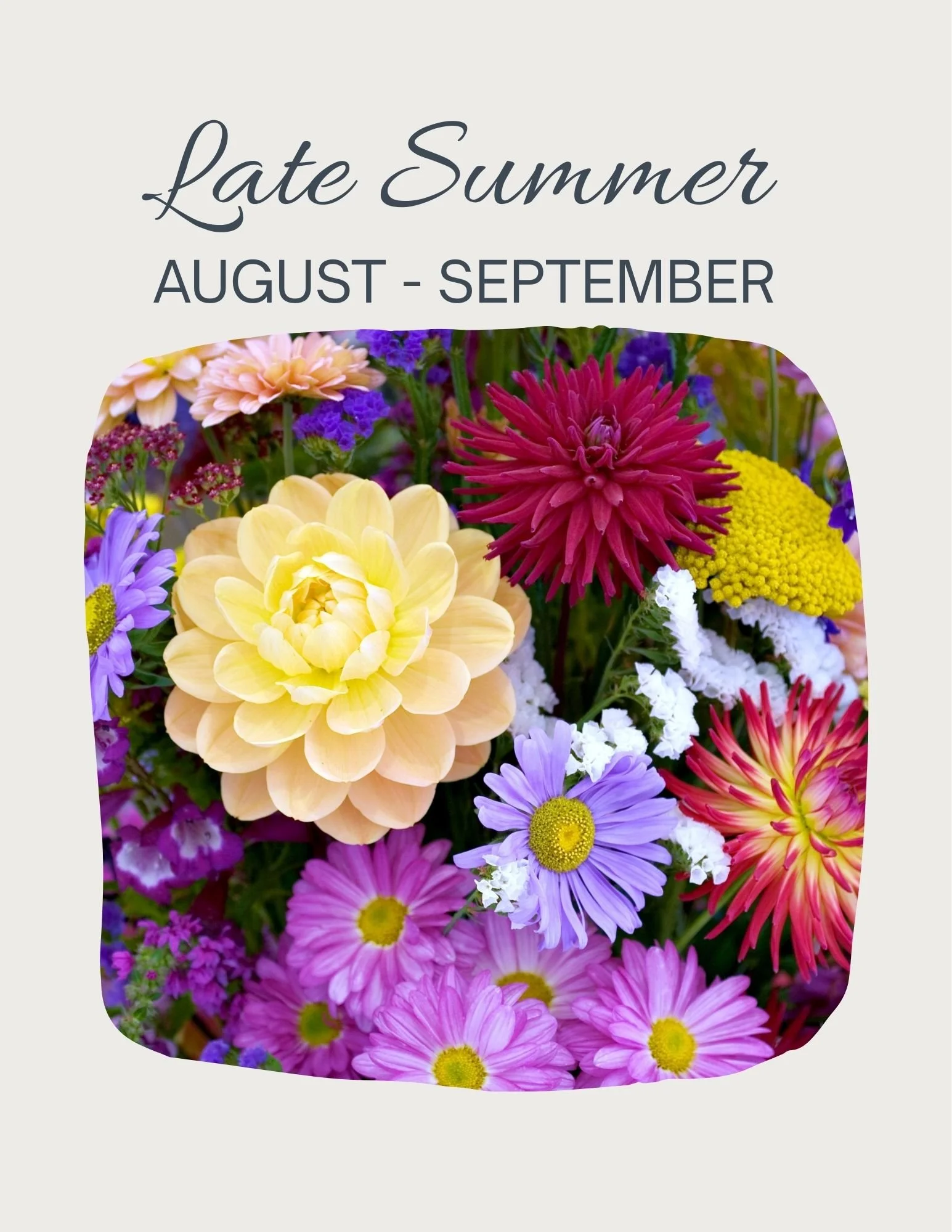 Late Summer/Fall - 4 bouquets (biweekly)