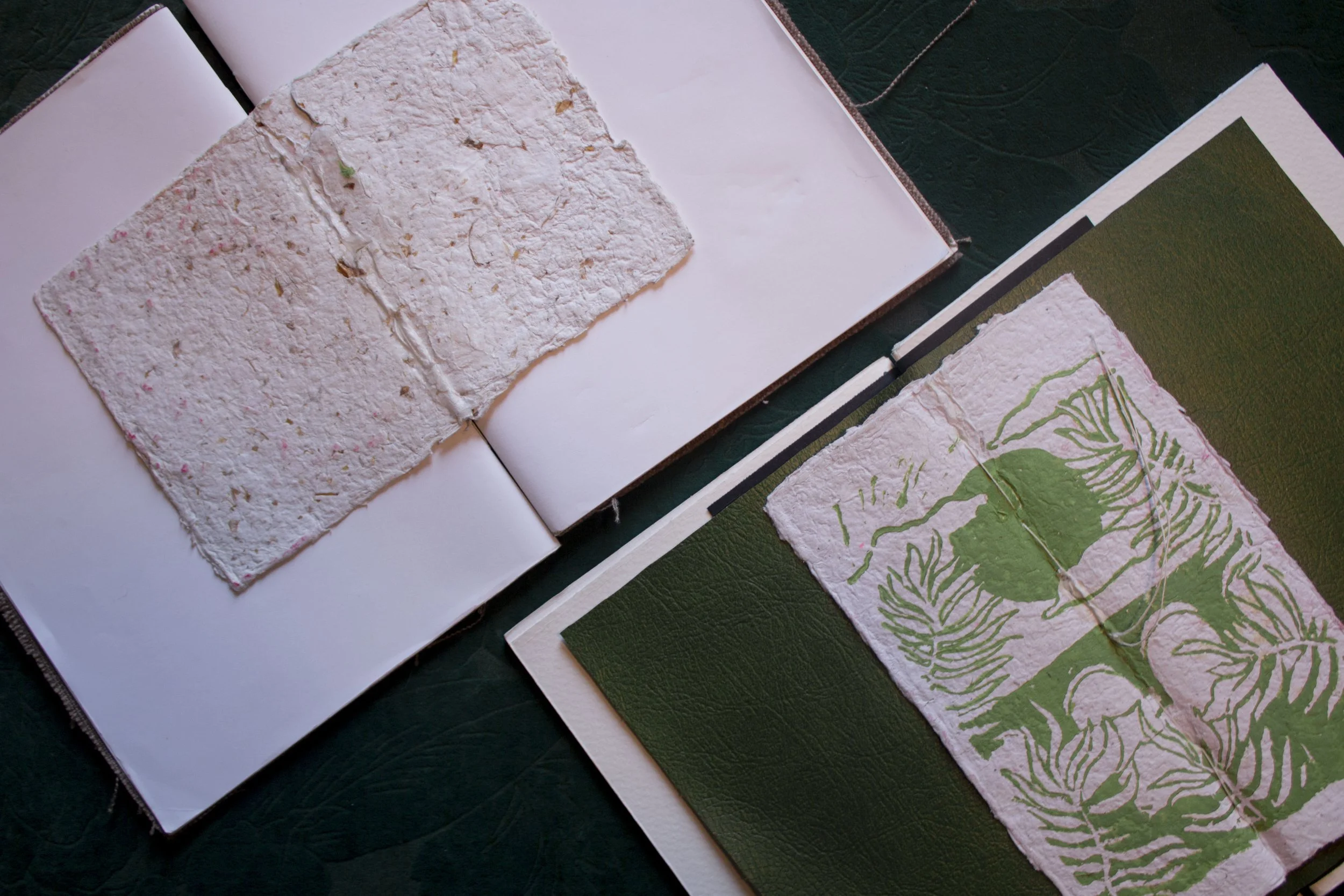 Pages d'un livre d'art ou d'un carnet contenant des impressions de feuilles et de motifs végétaux, avec un fond noir.