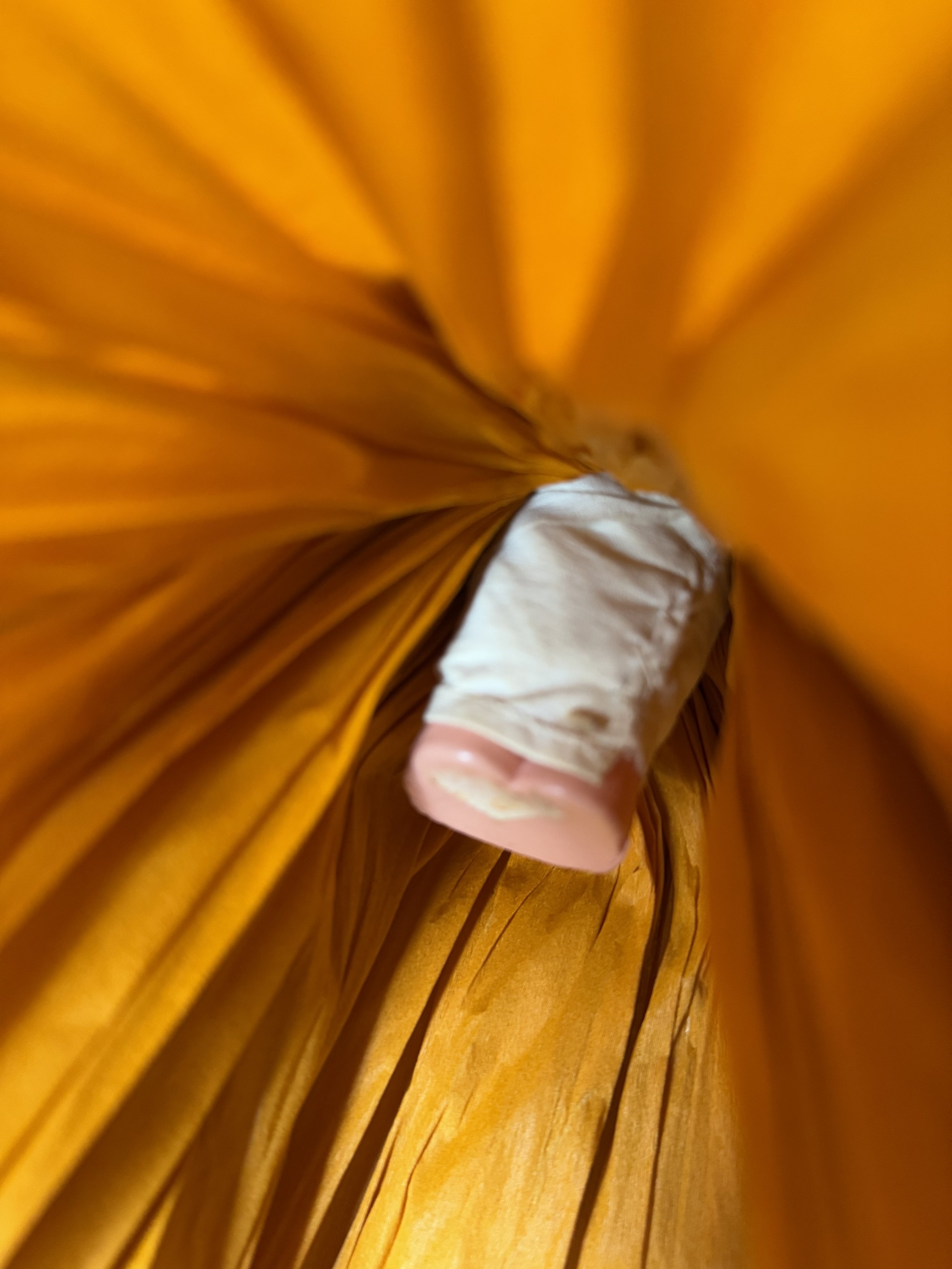 IMG_6150.jpeg