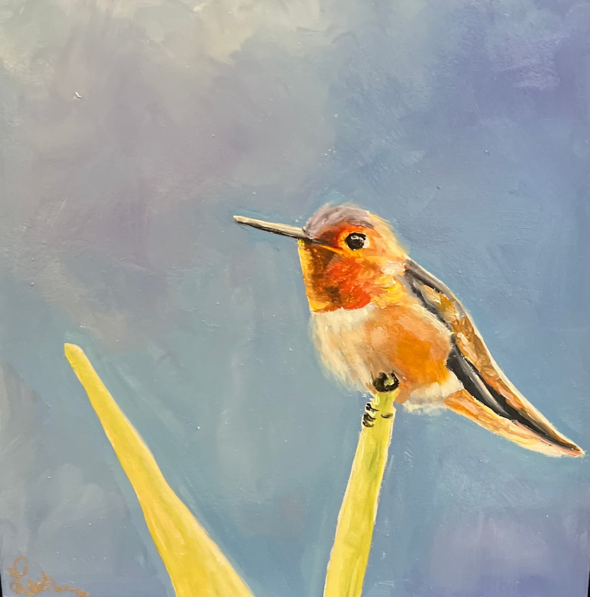 Hummingbird